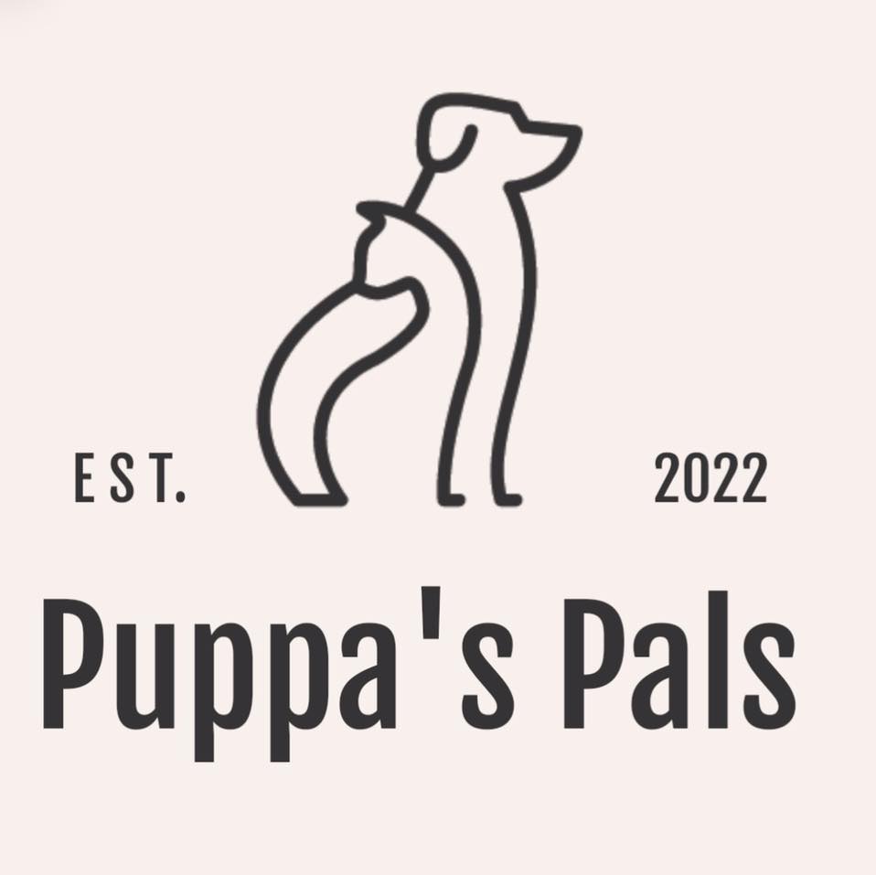 Dog wandering/limping around my work on Rice Lake Rd Storage King