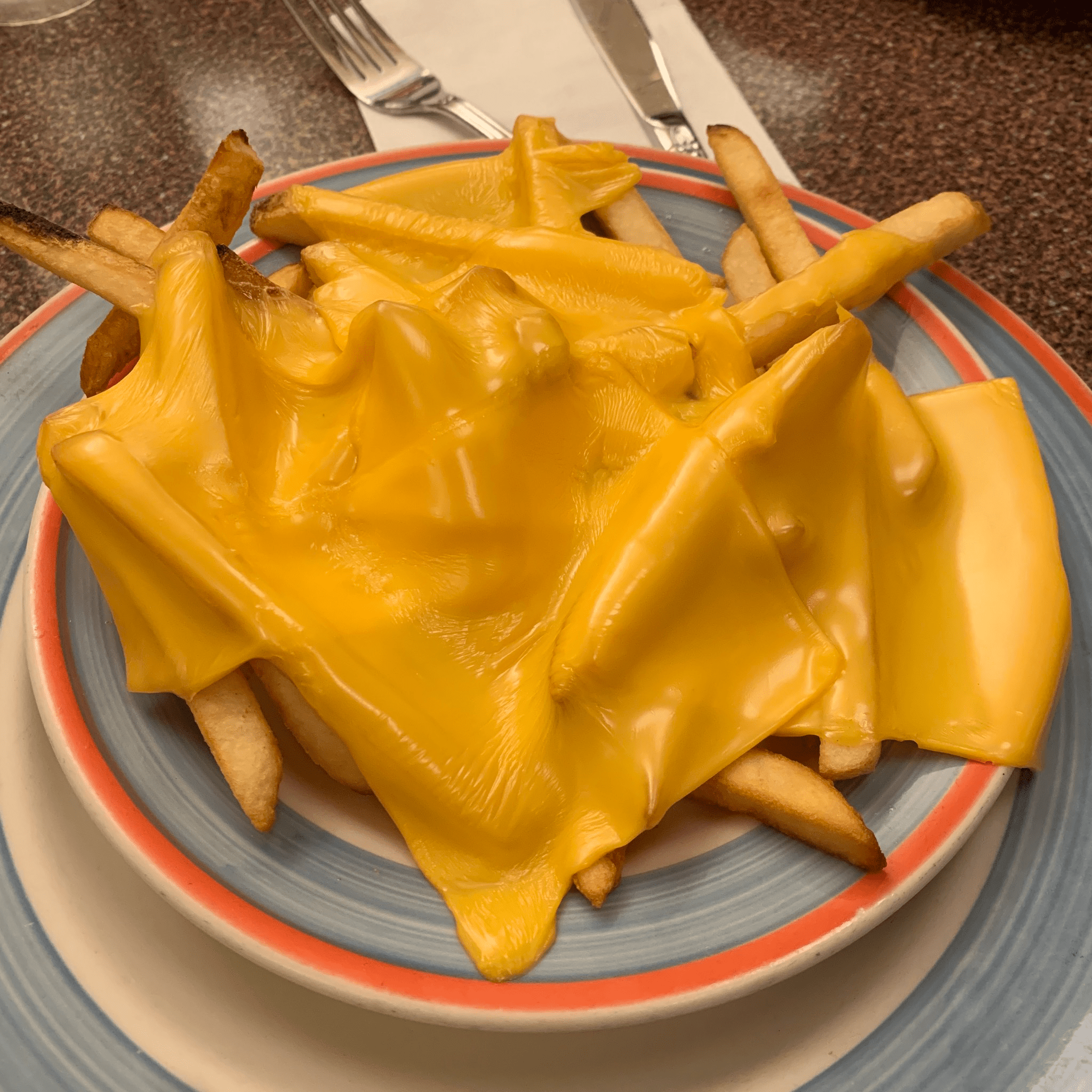 Ordered cheese fries at a local diner r/foodcops