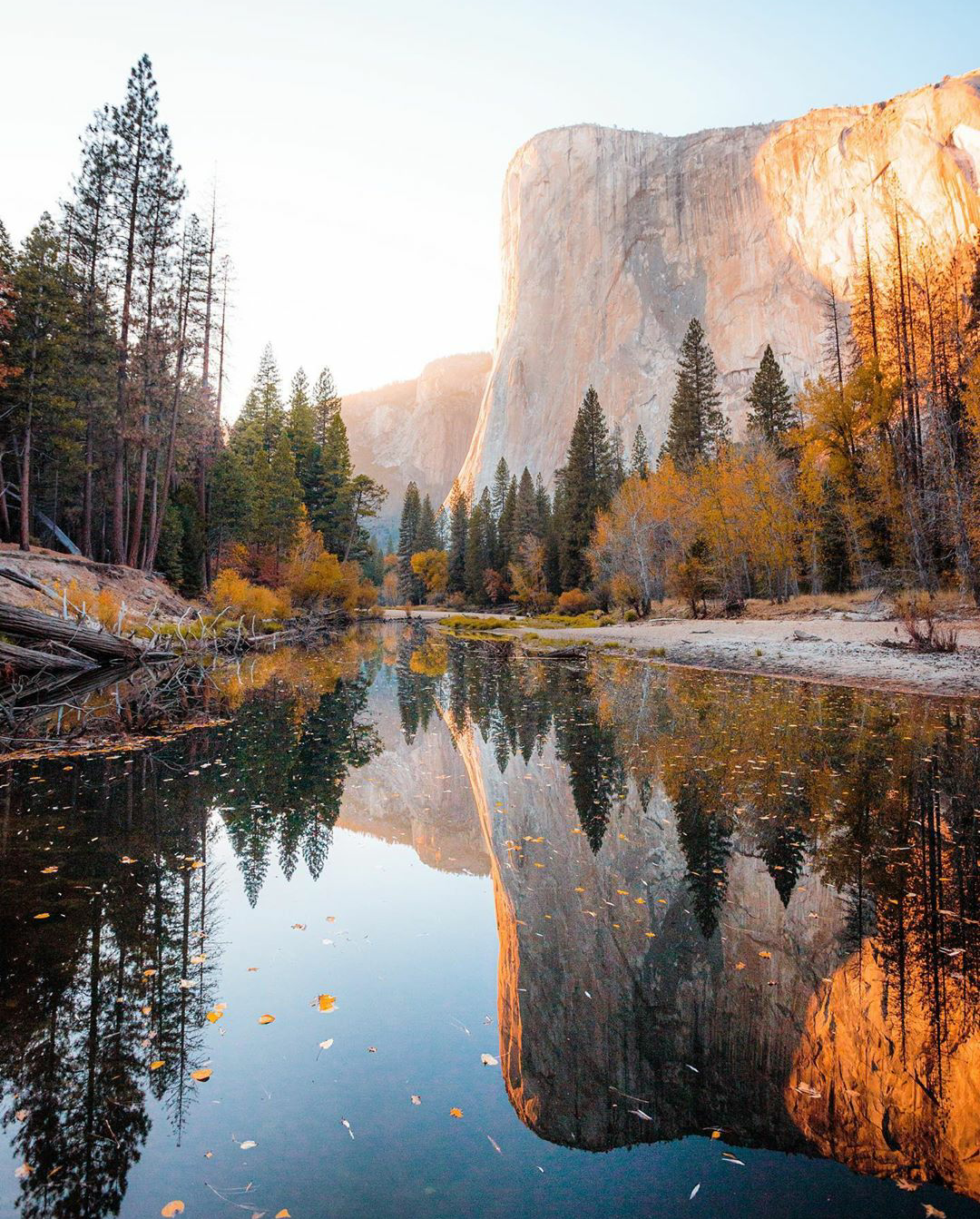 🔥 shades of autumn in Yosemite National Park, California r