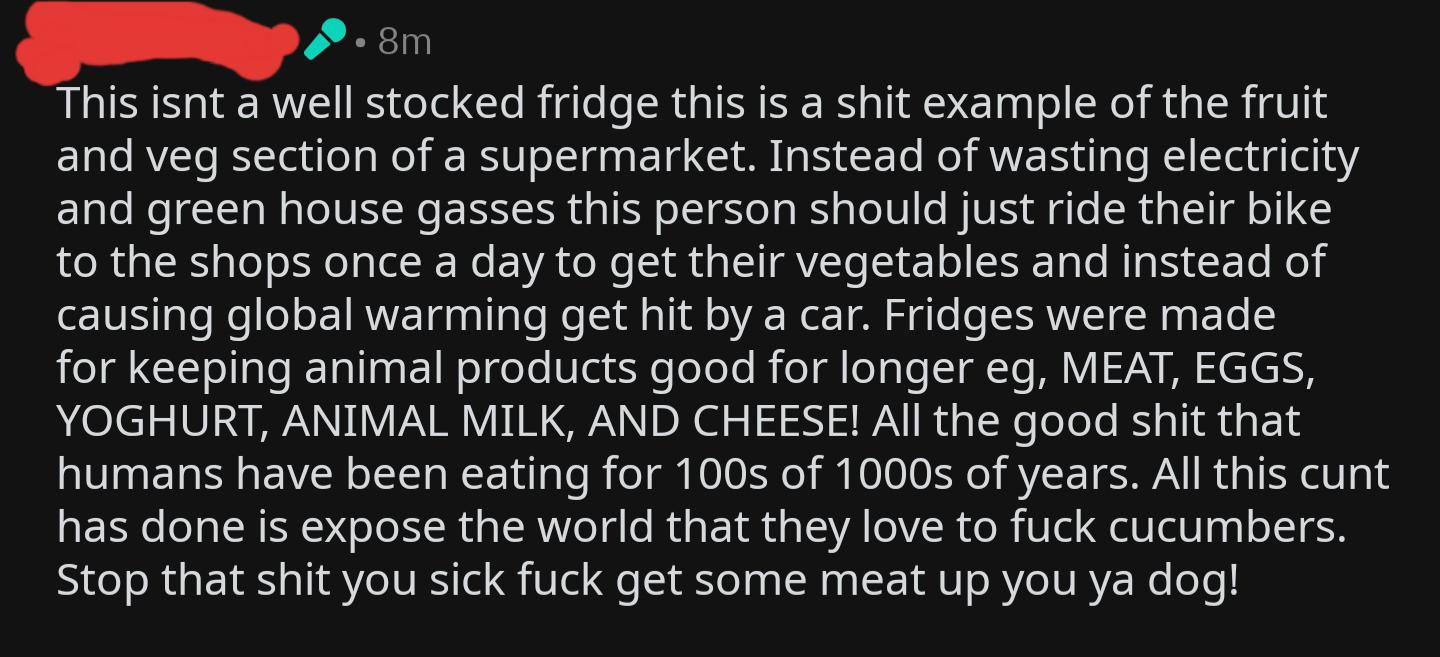 Vegans shouldn't use fridges. They are only for animal products! r