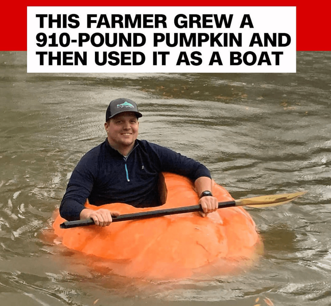 Pumpkin comedyheaven