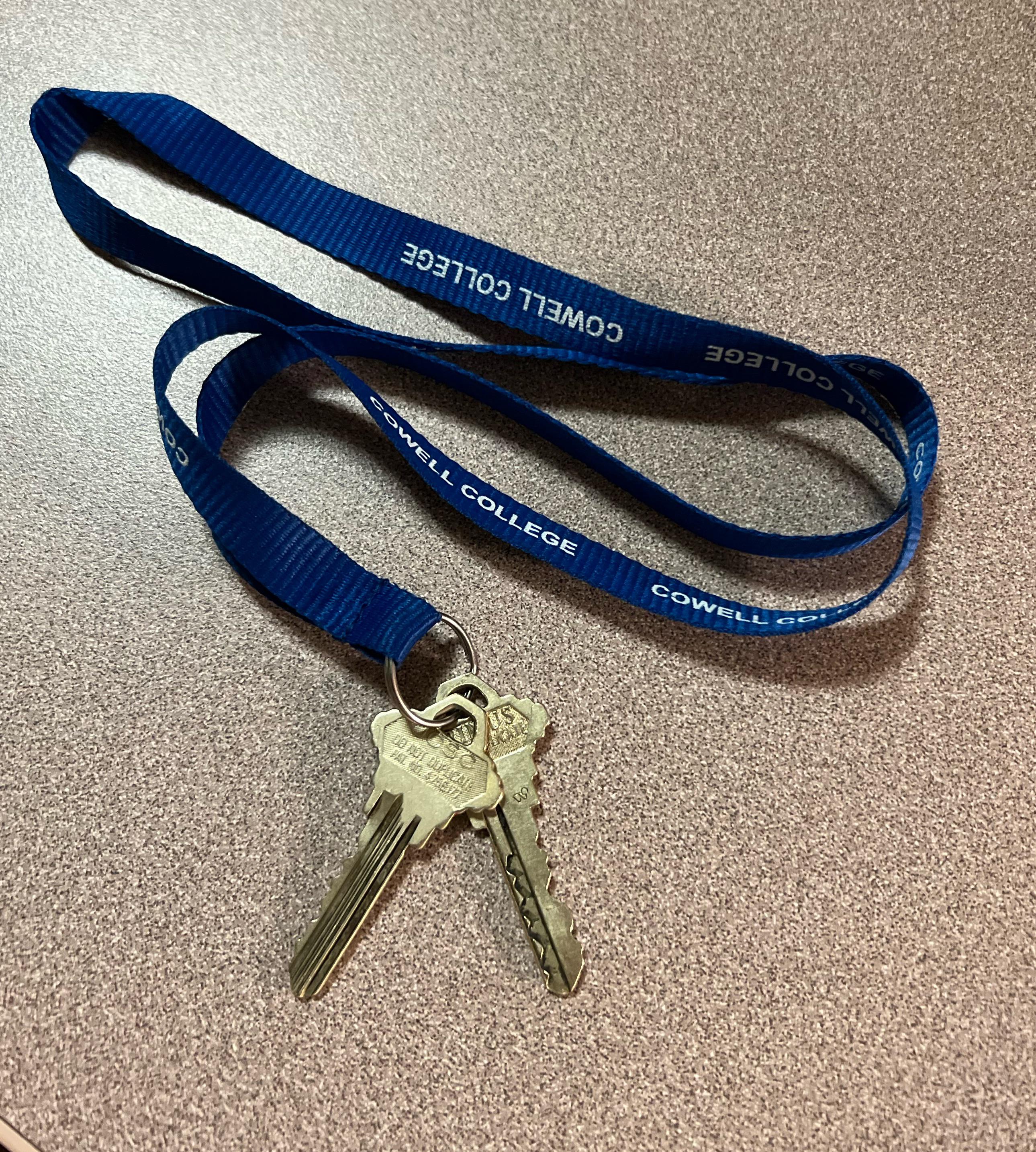 FOUND KEYS BY COWELL/STEVENSON DINING HALL r/UCSC