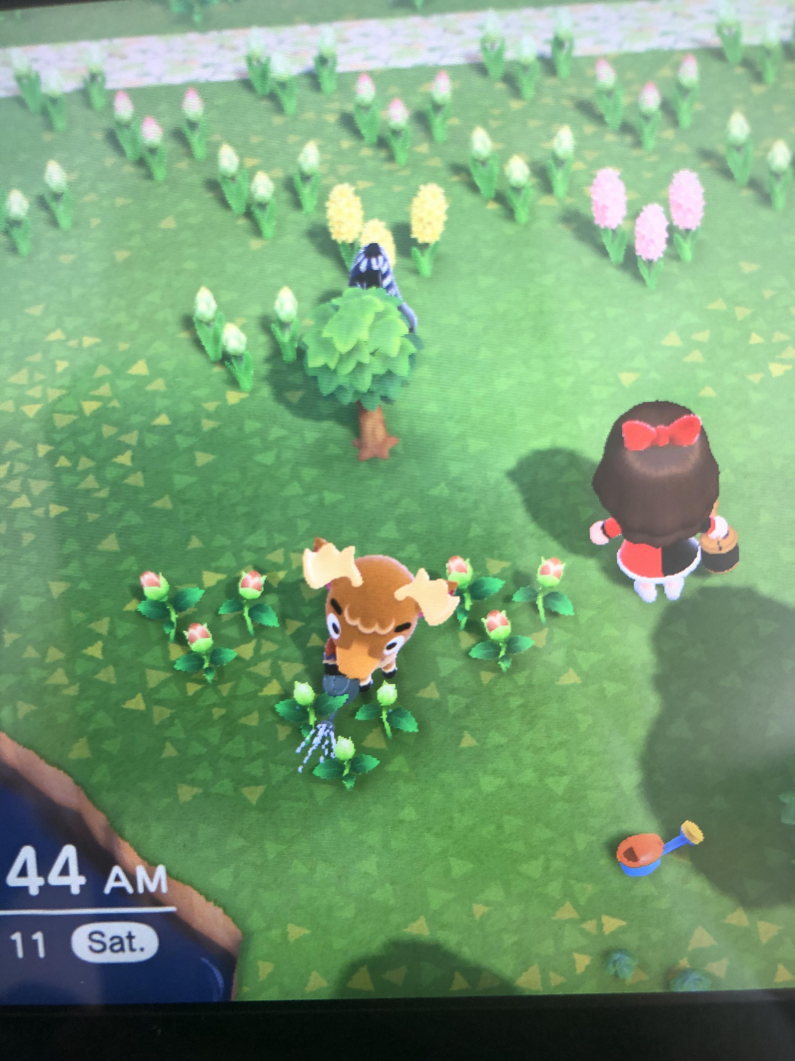 Eric is the best villager. He’s watering my flowers 💕 r