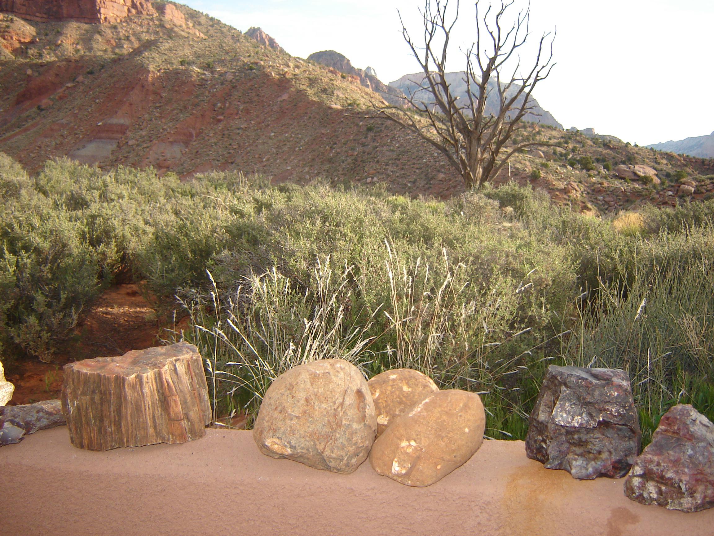 Massive Blue Forest (Eden Valley, Wyoming) RockhoundExchange