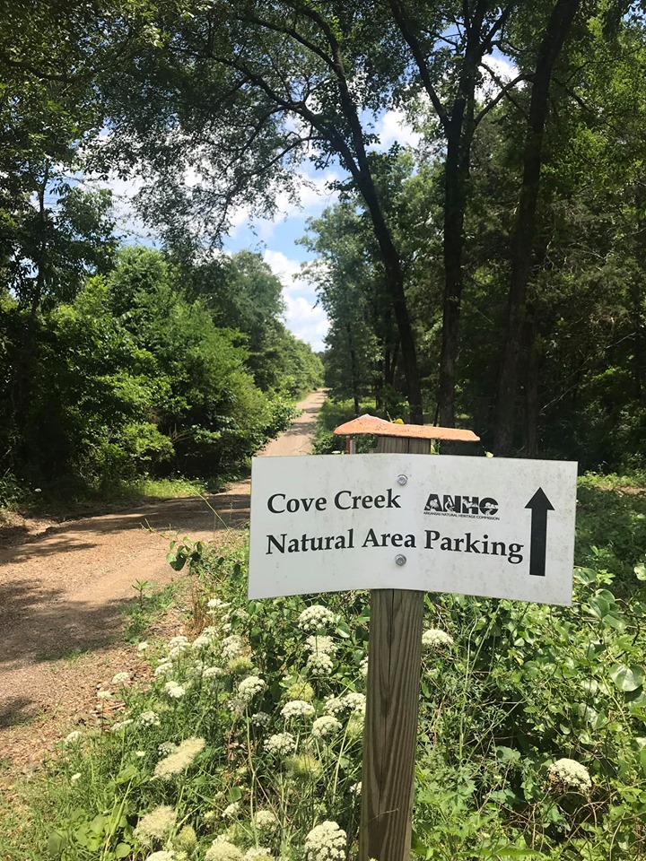 Cove Creek Natural Area Great little trail outside of Greenbrier with beautiful bluff views