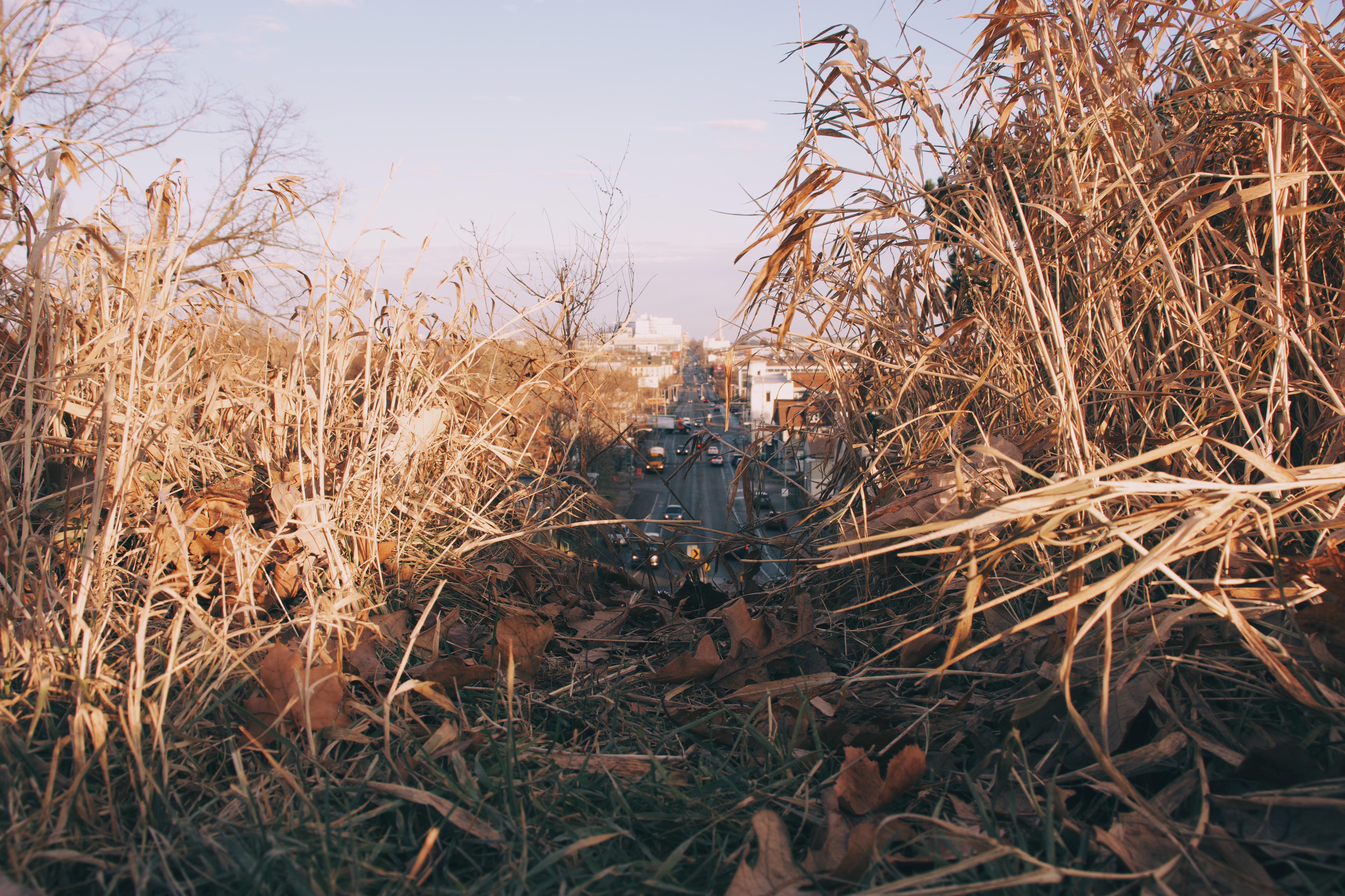 Kilbourn Park, Milwaukee WI r/milwaukee