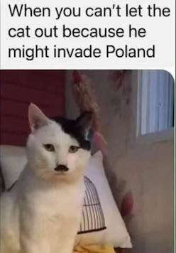 My mom sent me this XD : Kitler