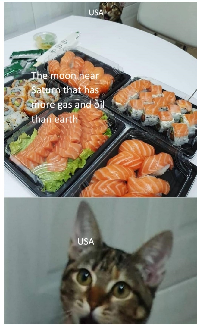 I like sushi memes