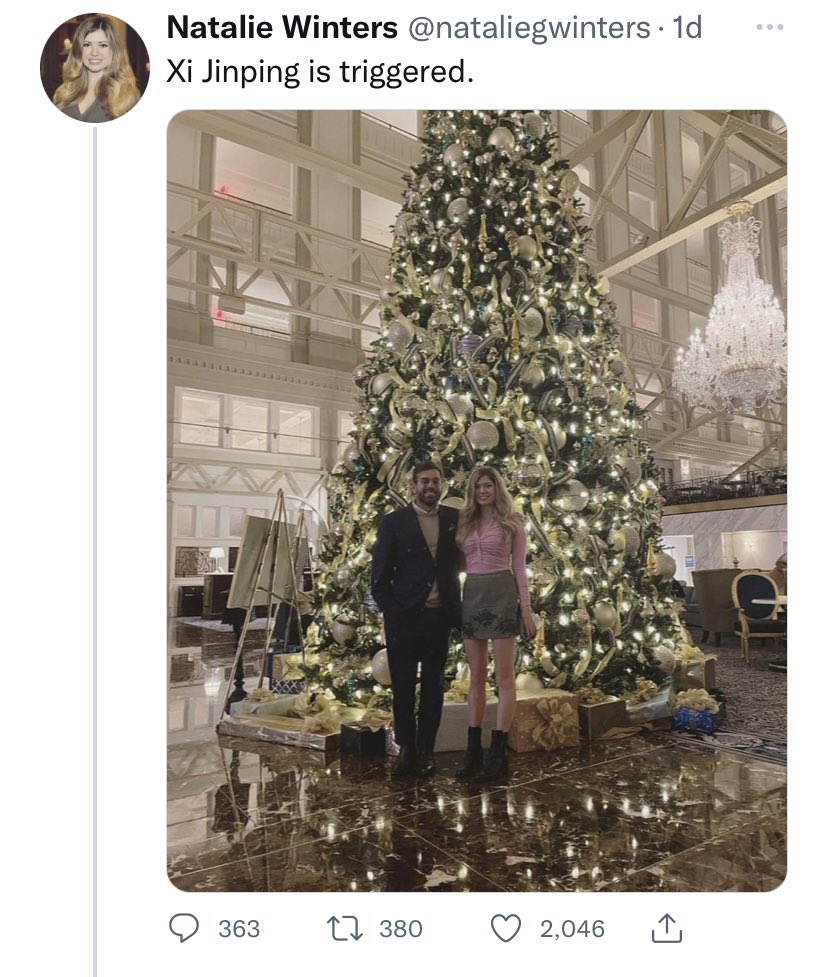 Implying that Christmas trees are banned in China r/ShitLiberalsSay