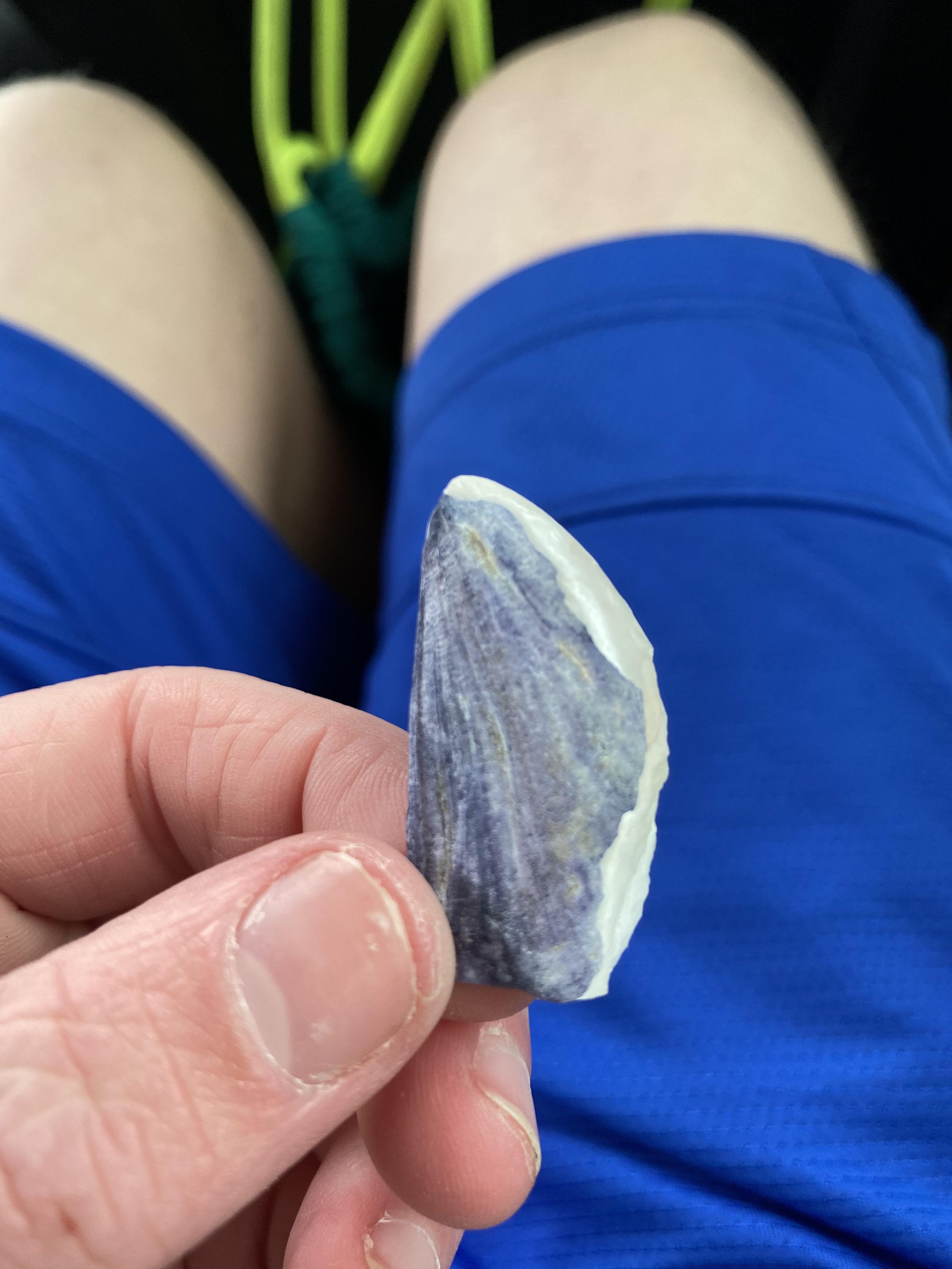 Shard of Naydra’s horn in real life? r/Breath_of_the_Wild