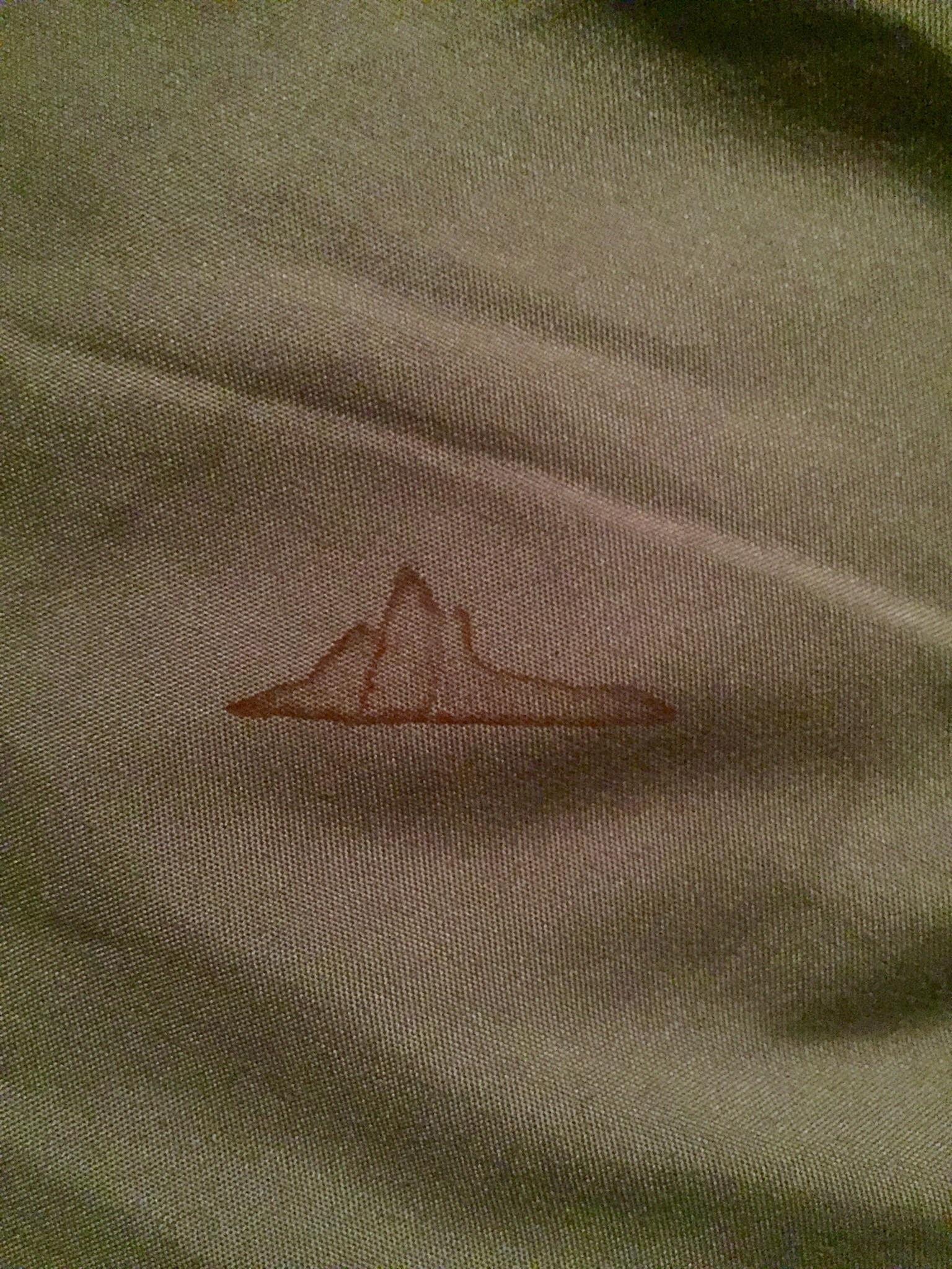 Found this mysterious stain on my hotel bed sheet, what does it look