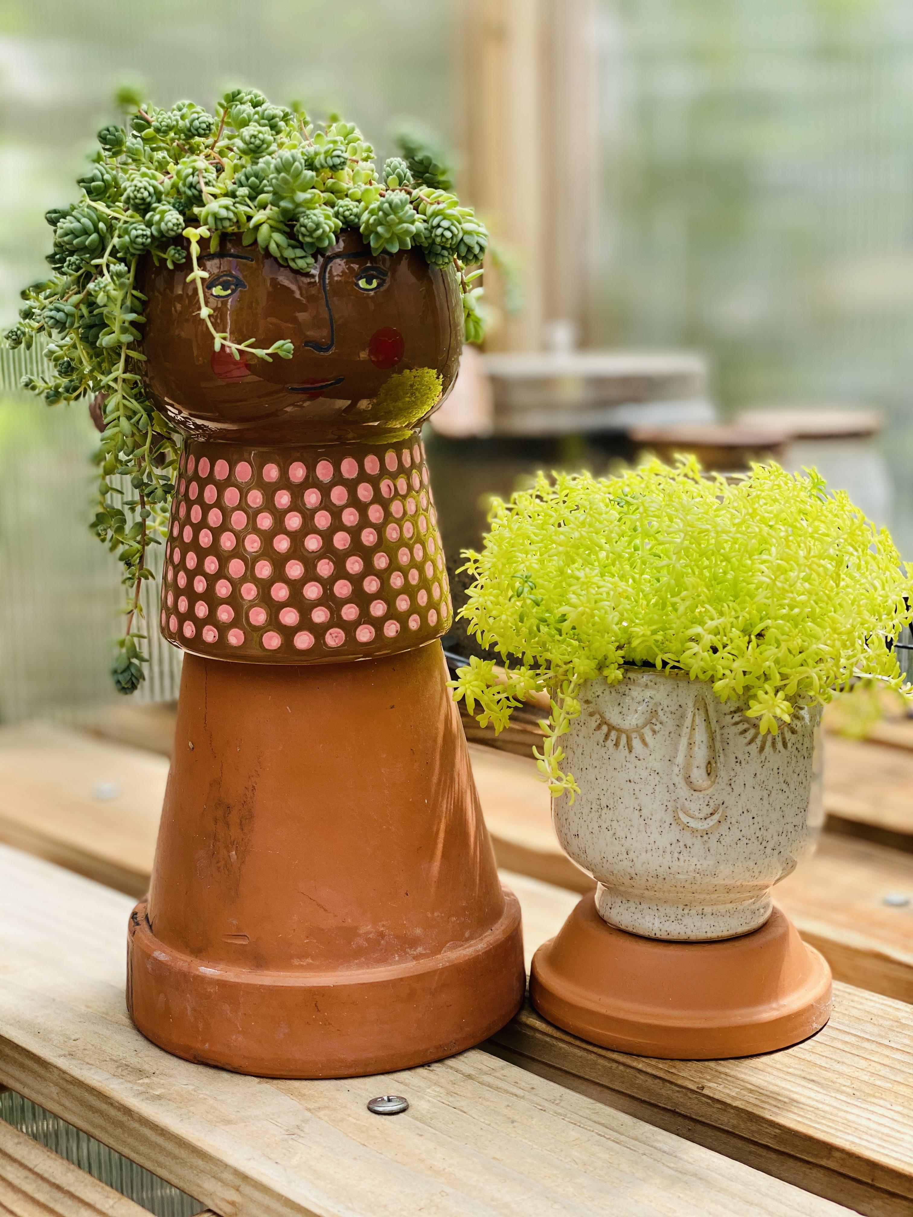 Plant faces r/plantsandpots