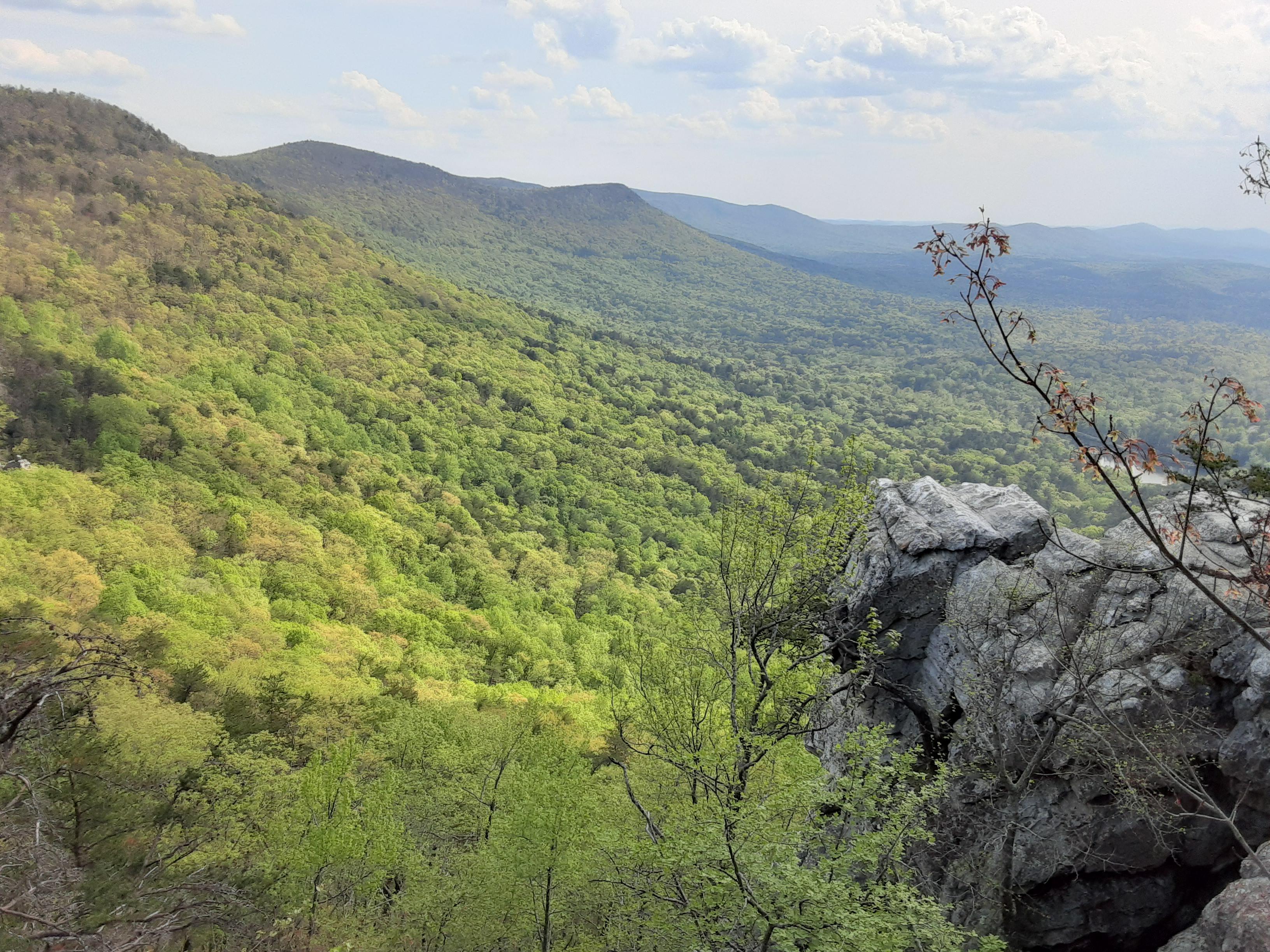 Highest point in Alabama at Cheaha State Park r/Highpointers