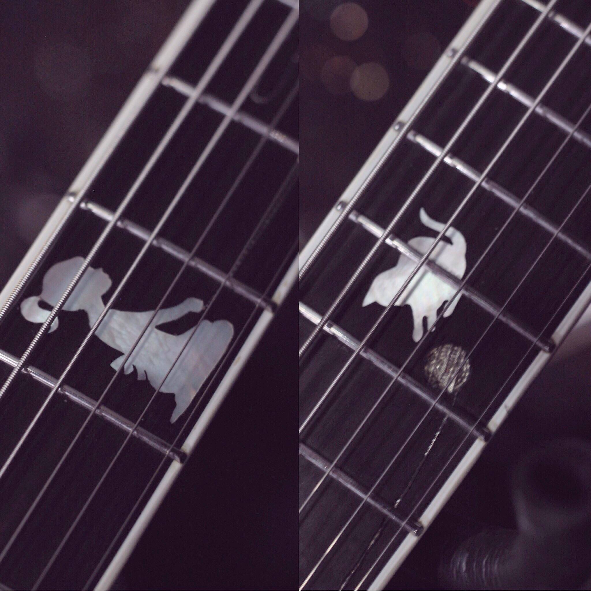 coolest fret inlays r/guitars