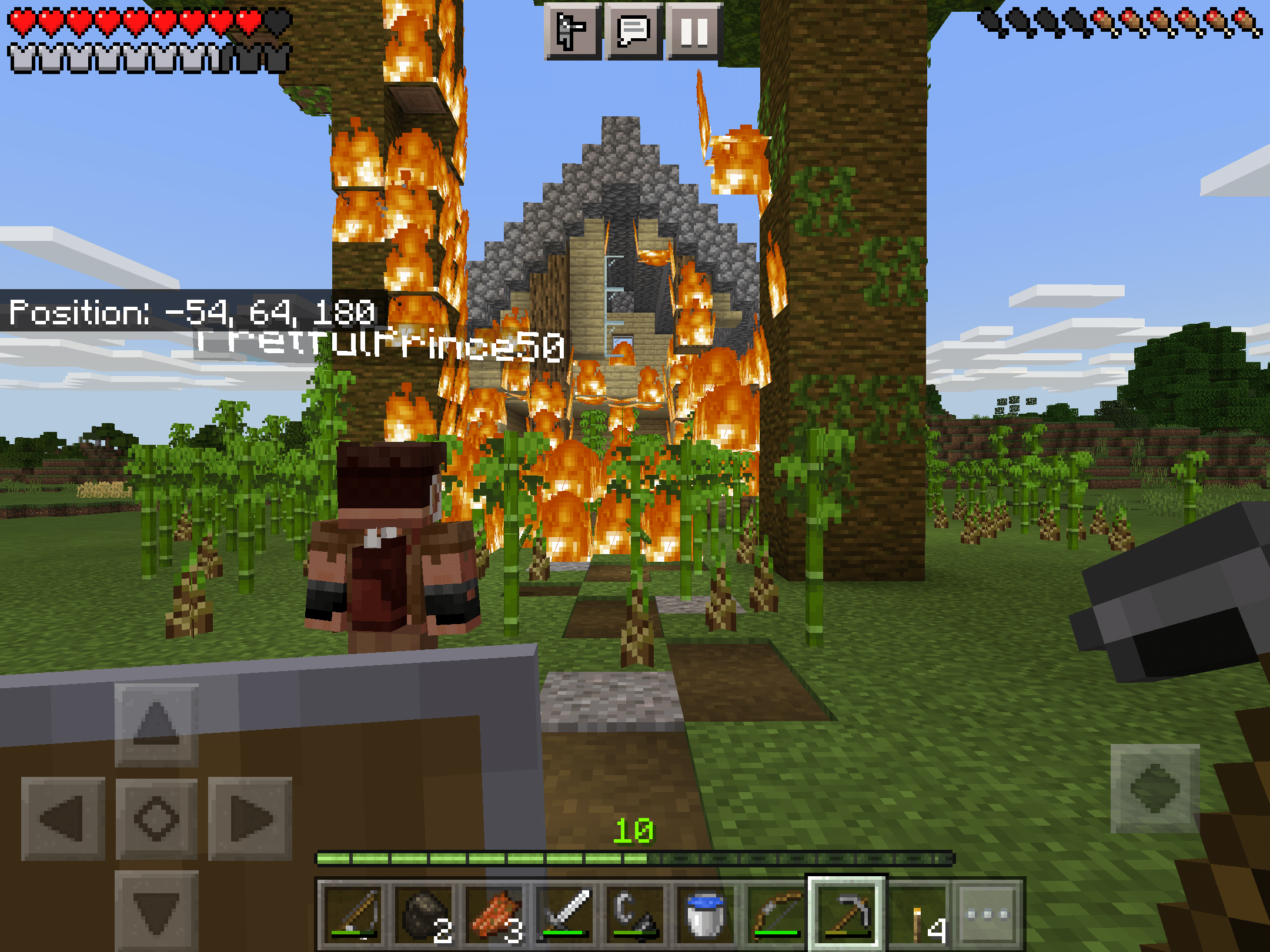 Some people like to watch the world burn r/Minecraft