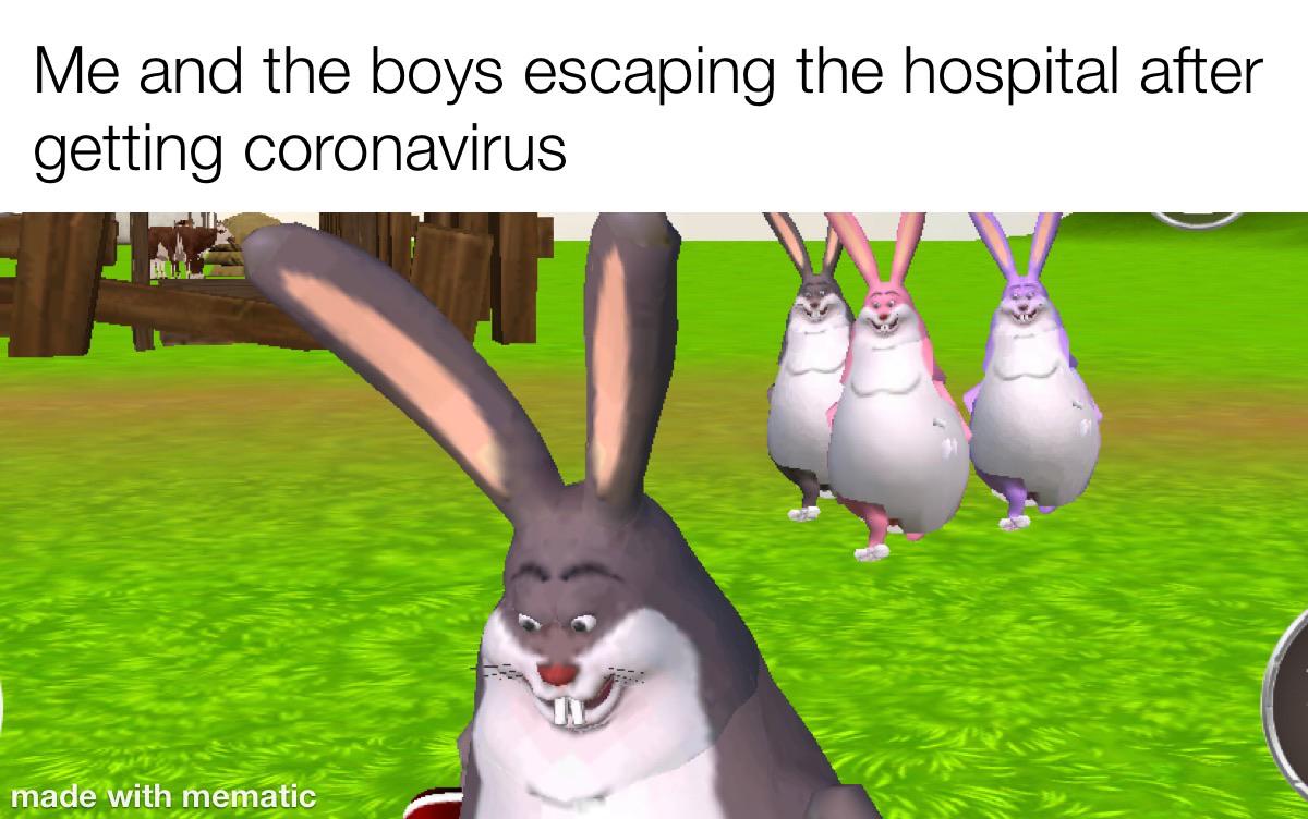 This game is called Chungus rampage in big forest memes