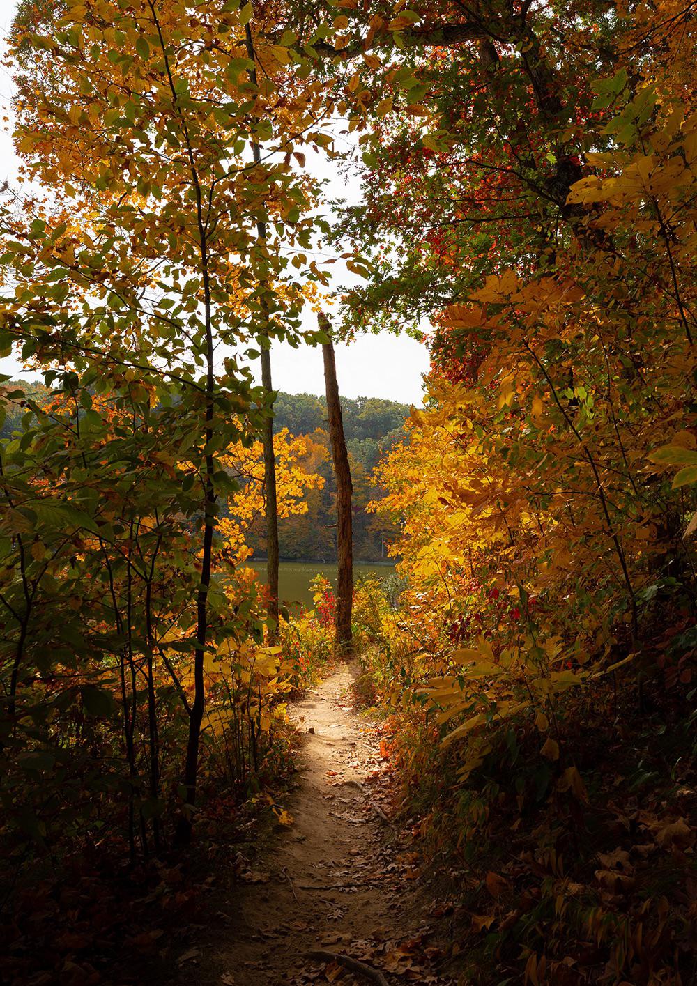 The fall colors are popping in central Illinois. Lake Charleston Trails
