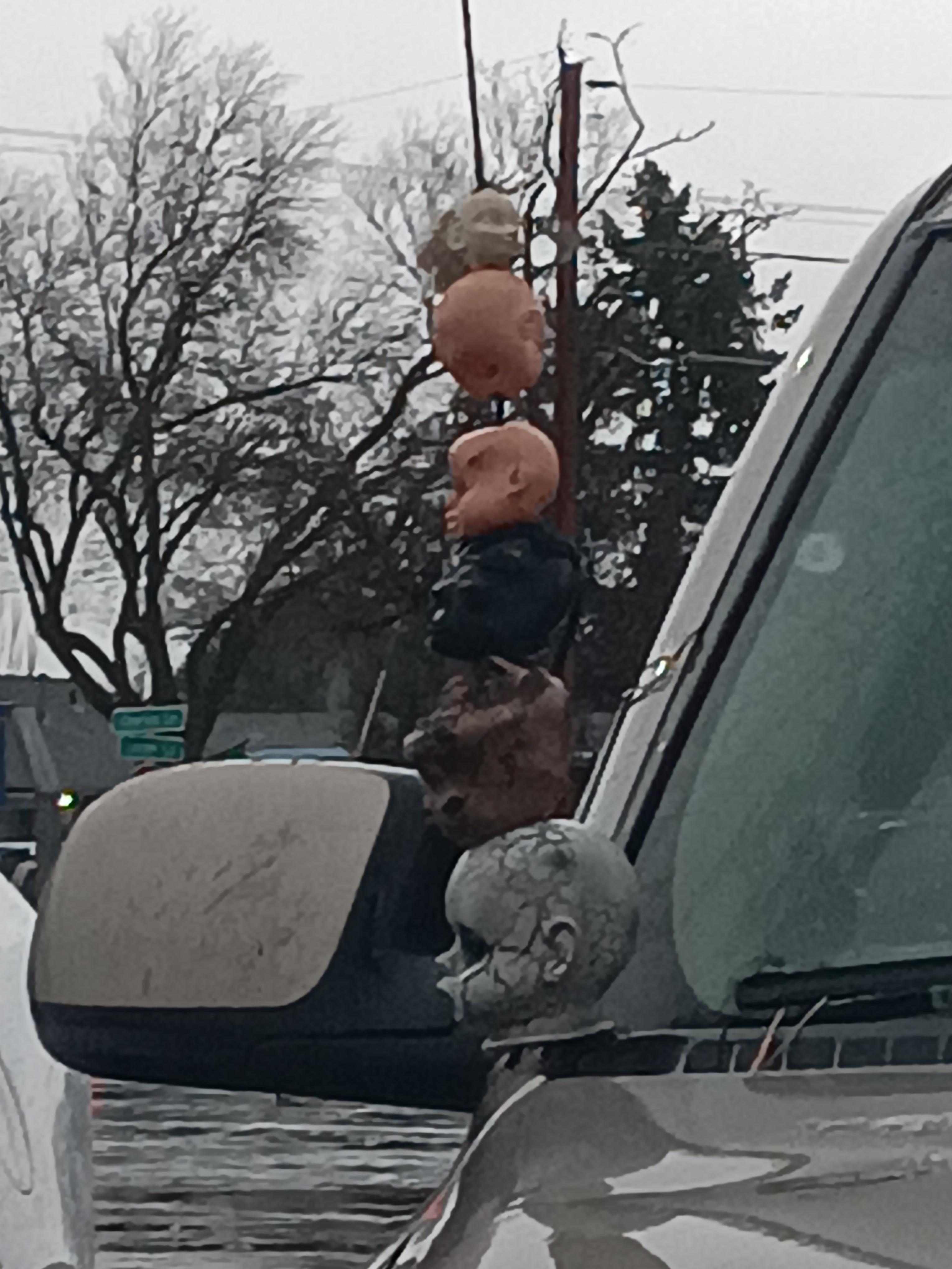 Severed doll heads on a car antenna r/Weird