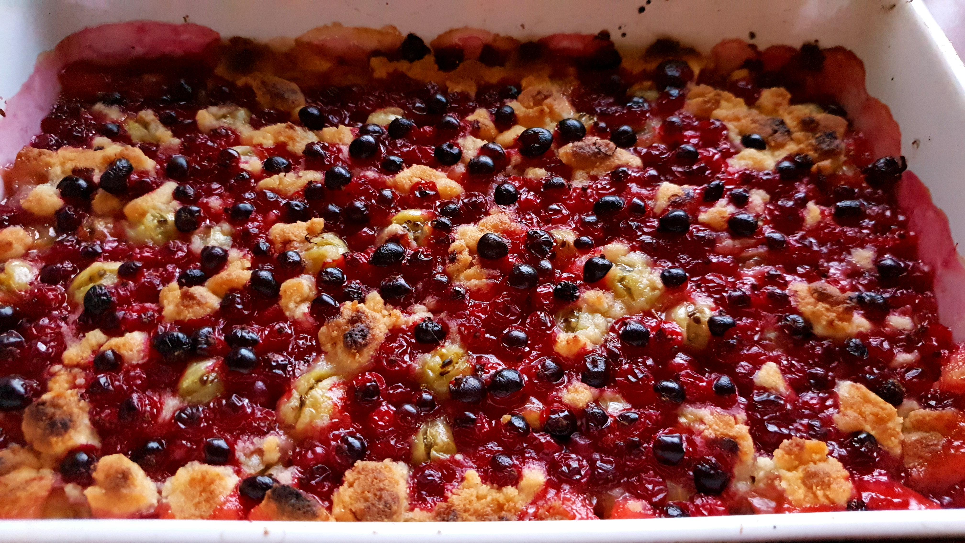 [Homemade] Gooseberry and red currant crumble pie. r/food