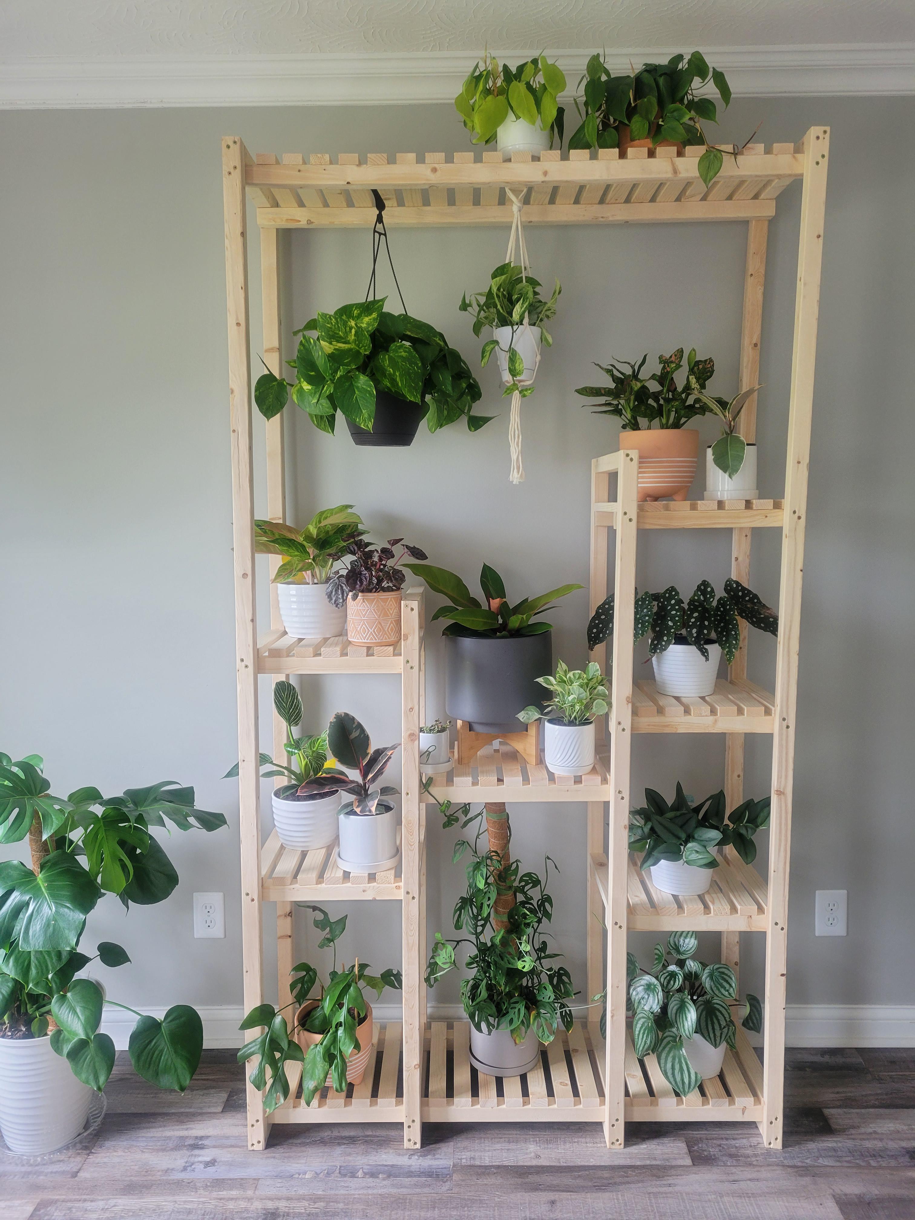 So proud and excited about this plant shelf I built! The plants are