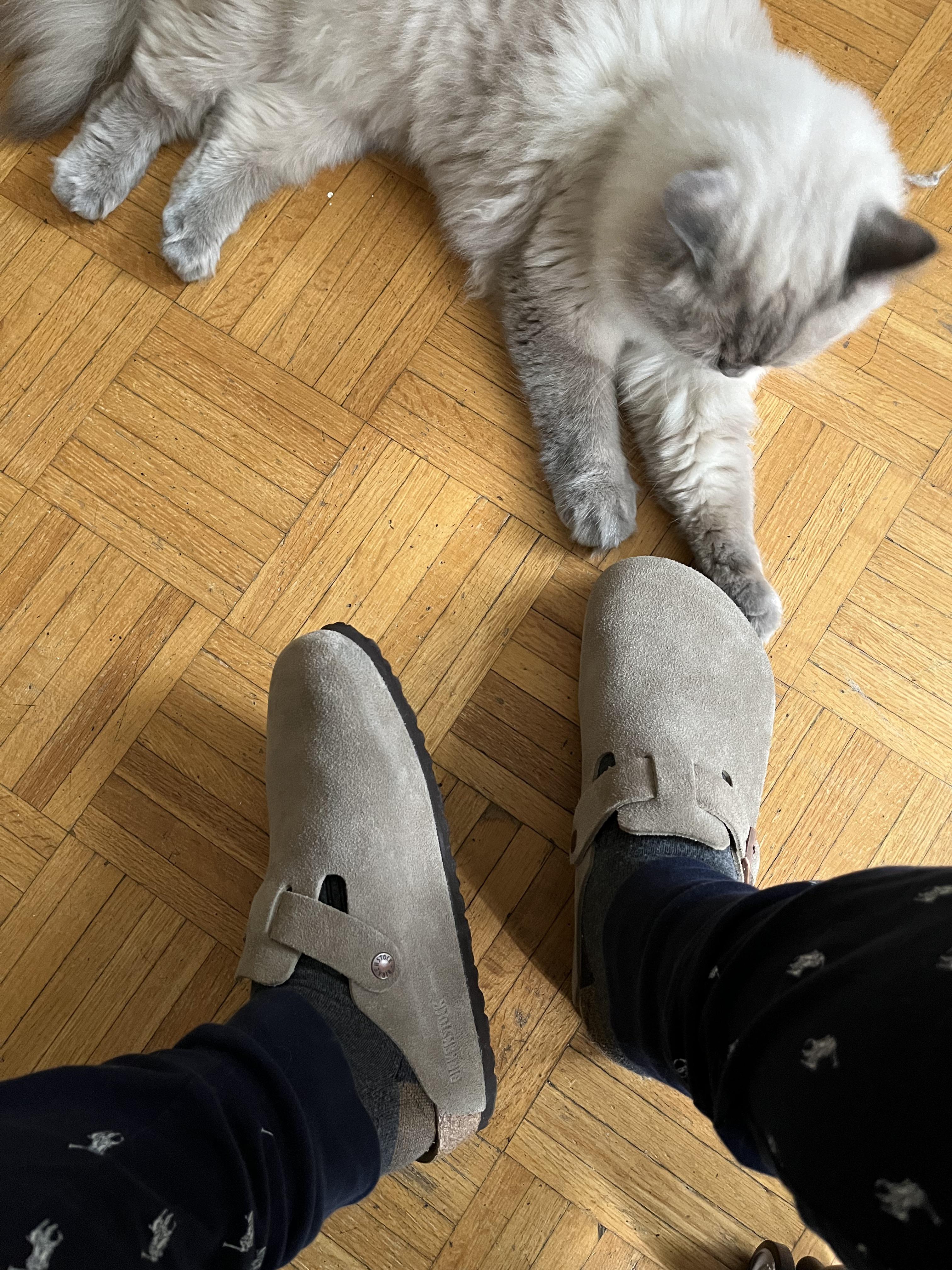 Been wearing these for 9 hours and they are starting to getting