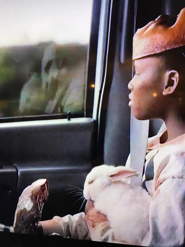 In "Us (2019)", near the end of the film, Jason looks into the window