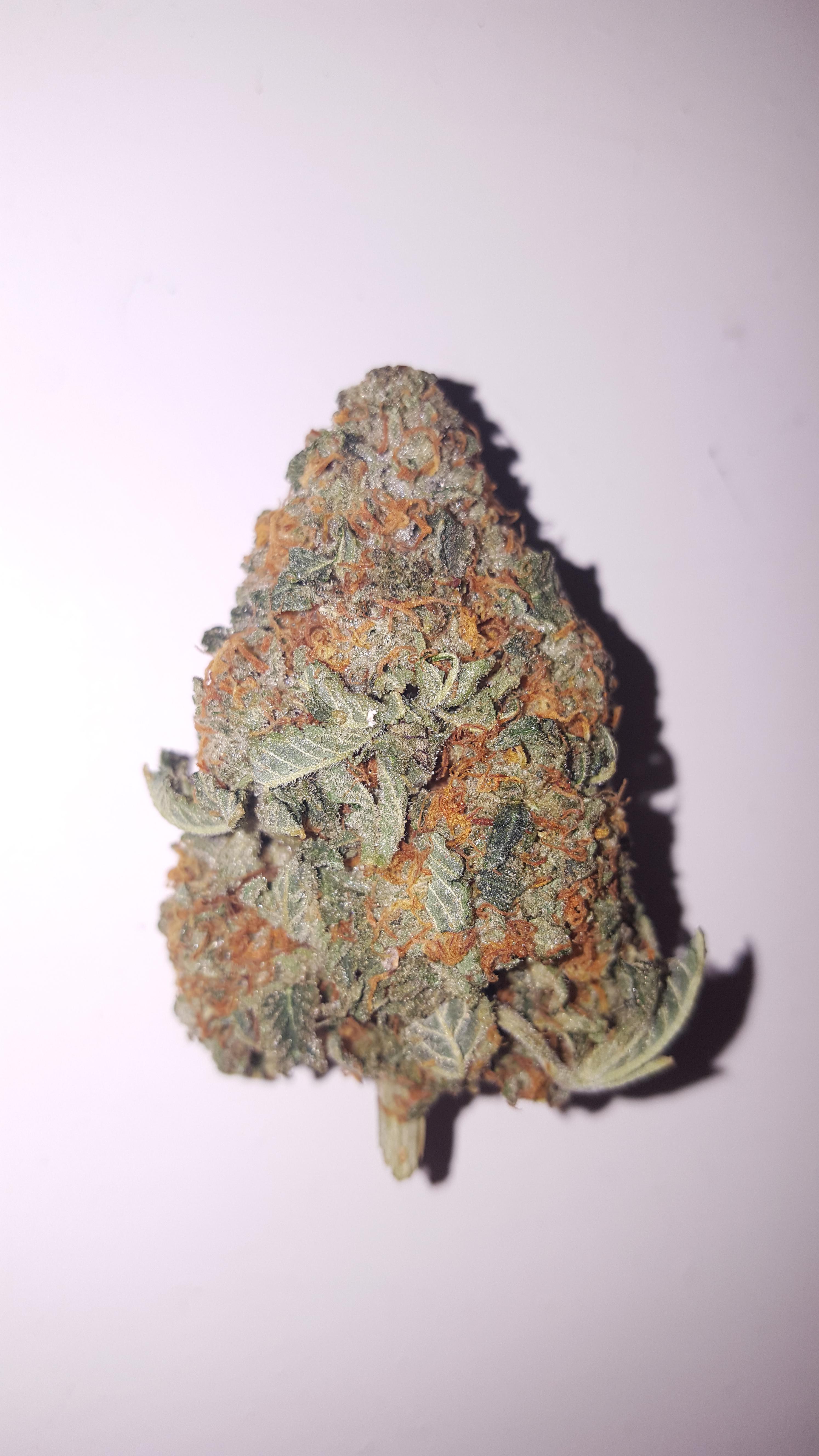 Some nice Cookie Dawg. What's ur favourite type of dawg? Mine's choco