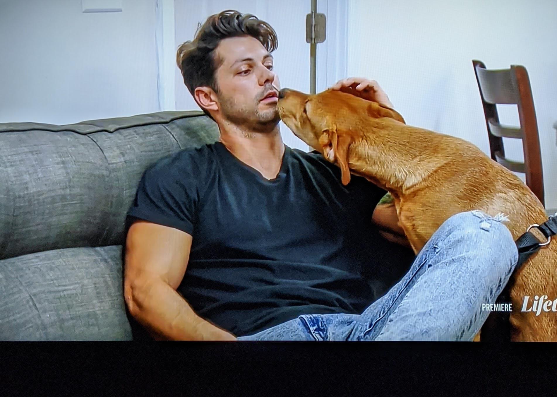 Studies show dogs can sense their owners stress... Zach's wife You