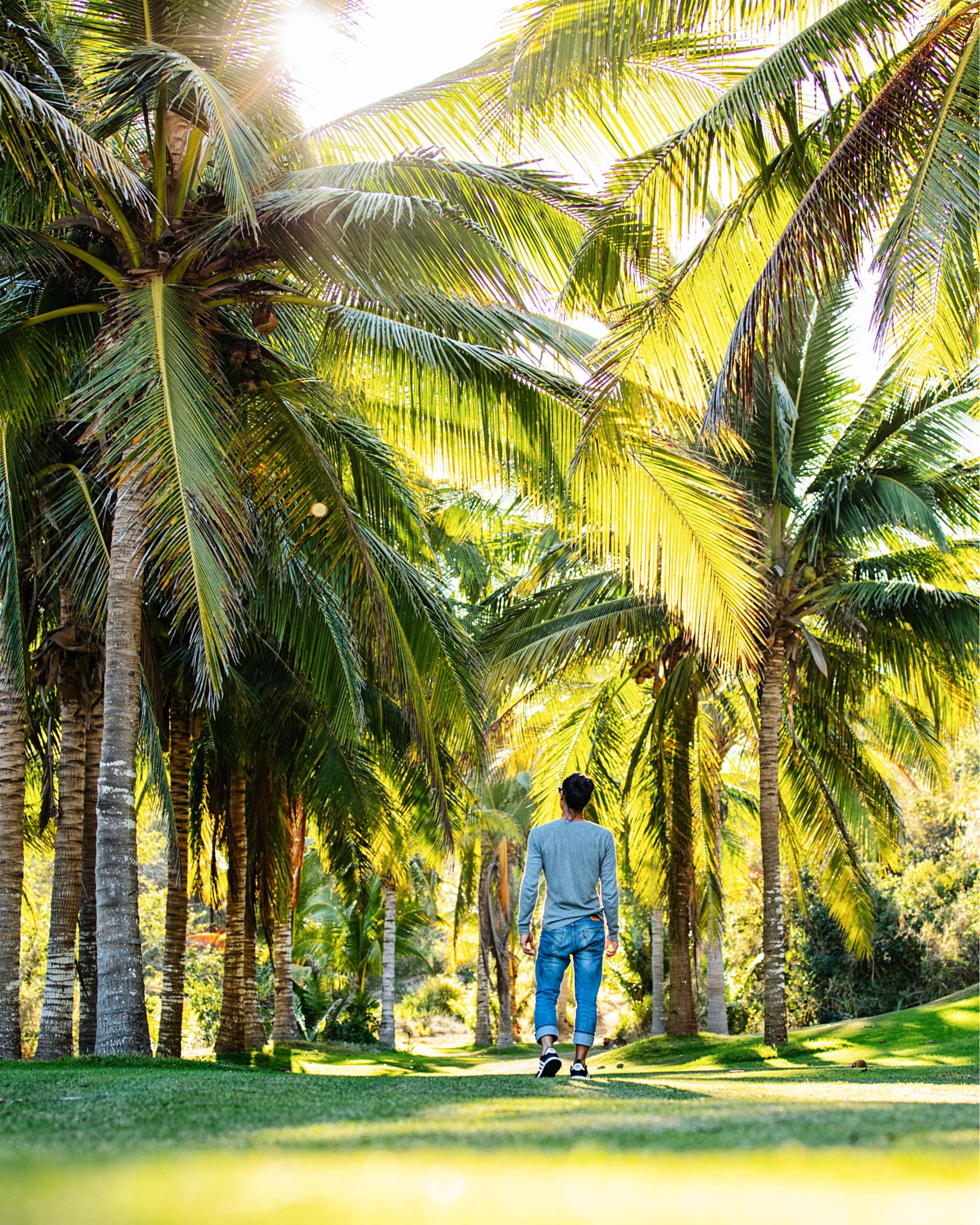 Exploring La Manzanilla, Mexico. Outdoors