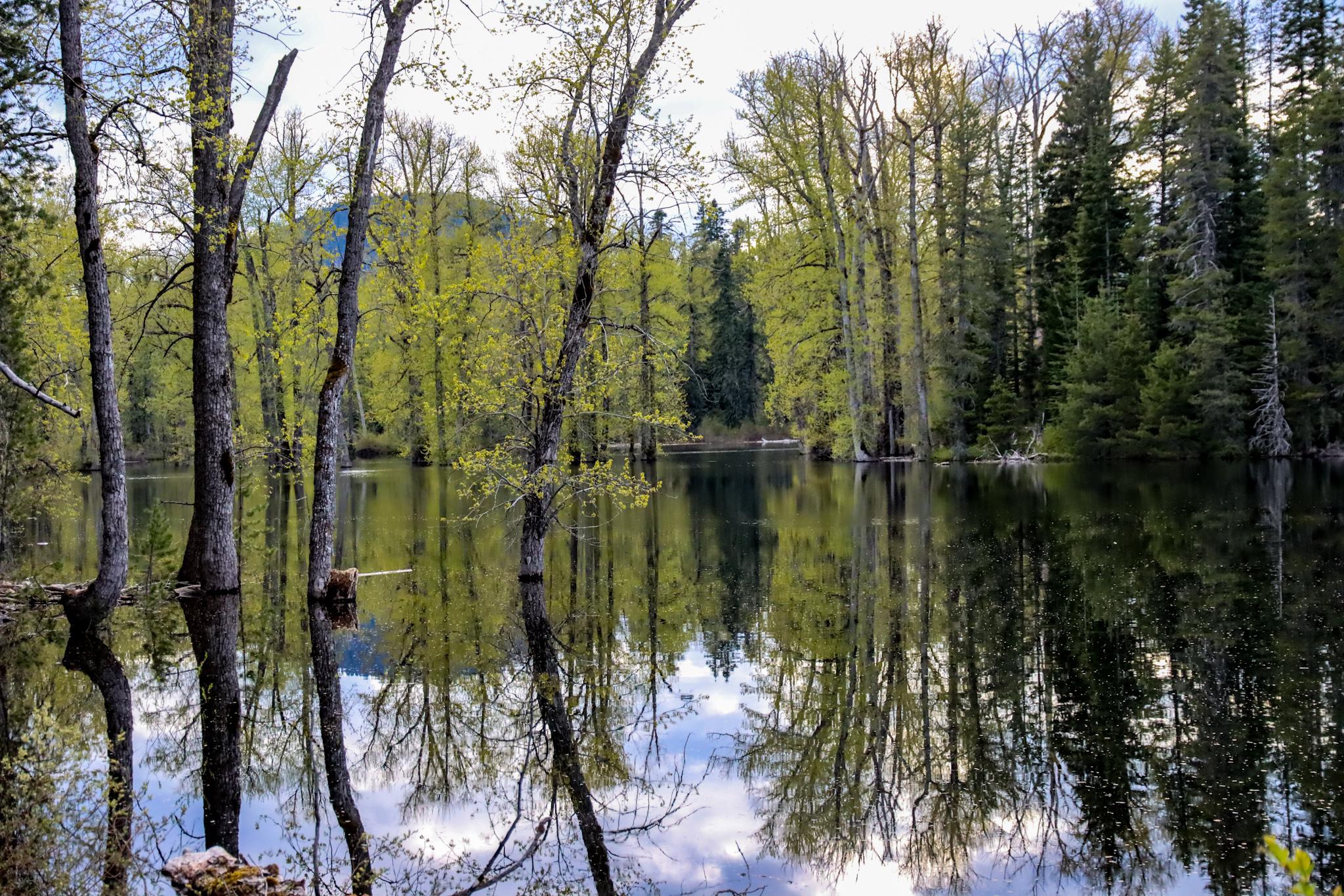 [OC] South prairie lake photo I took description in comments r/pics