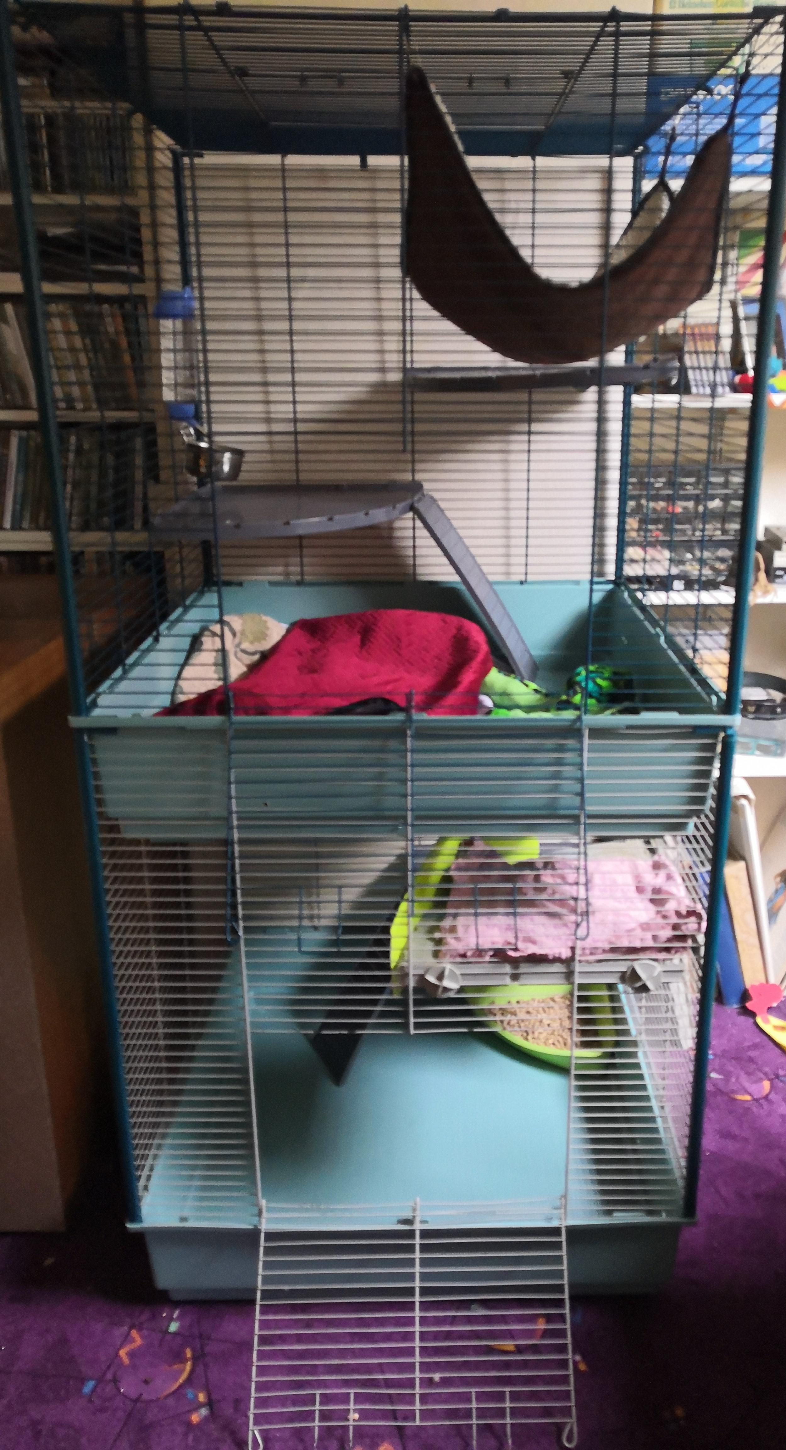 What else should I put in my new cage? r/ferrets