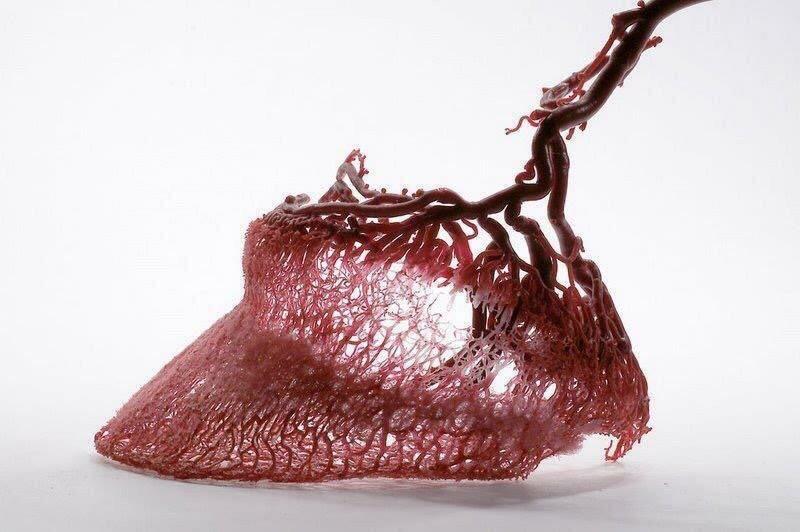 The extensive blood supply beneath a horse’s hoof wall r/oddlyweird