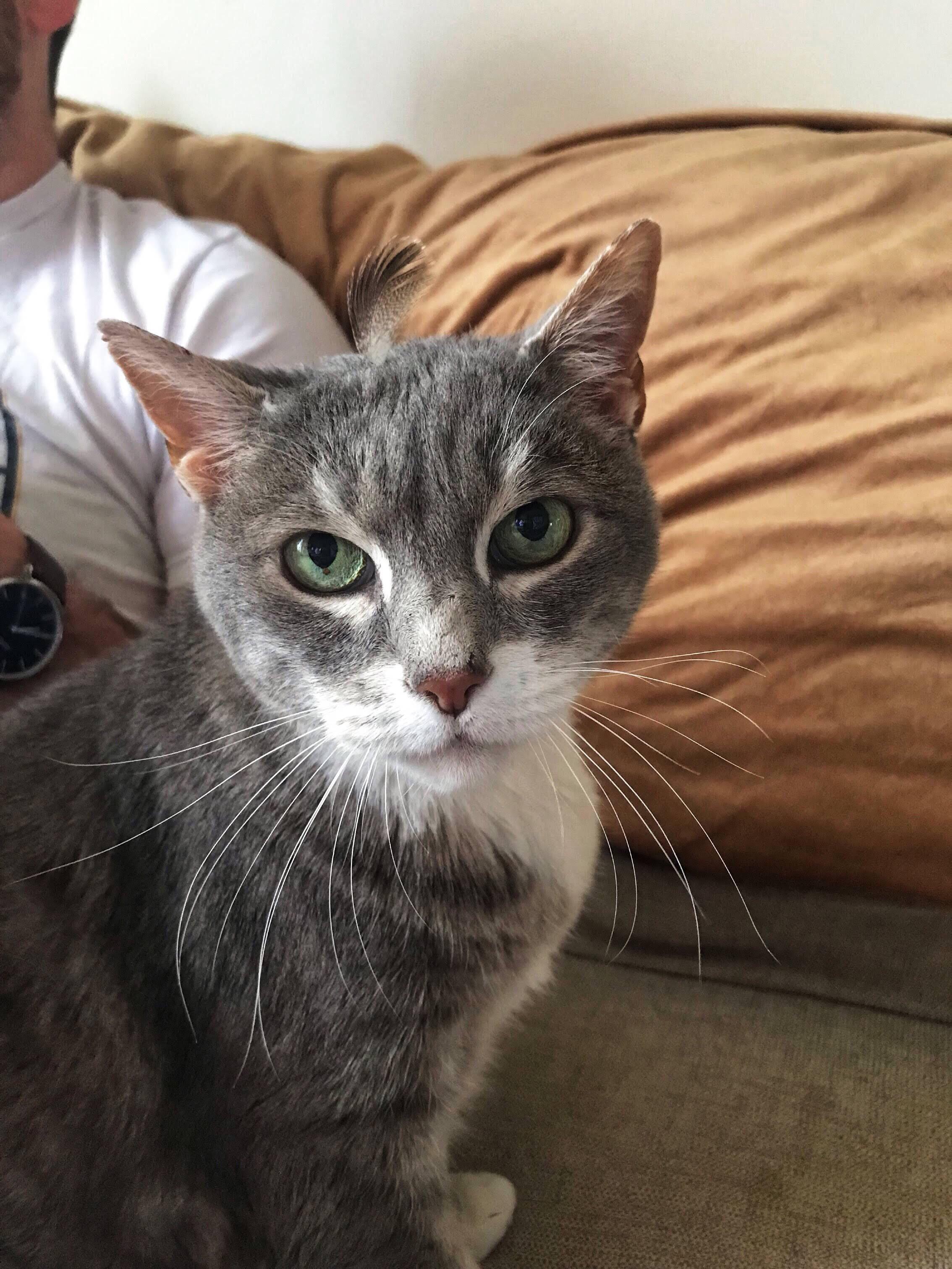 My boyfriend likes to pull feathers out of our pillows so that he can