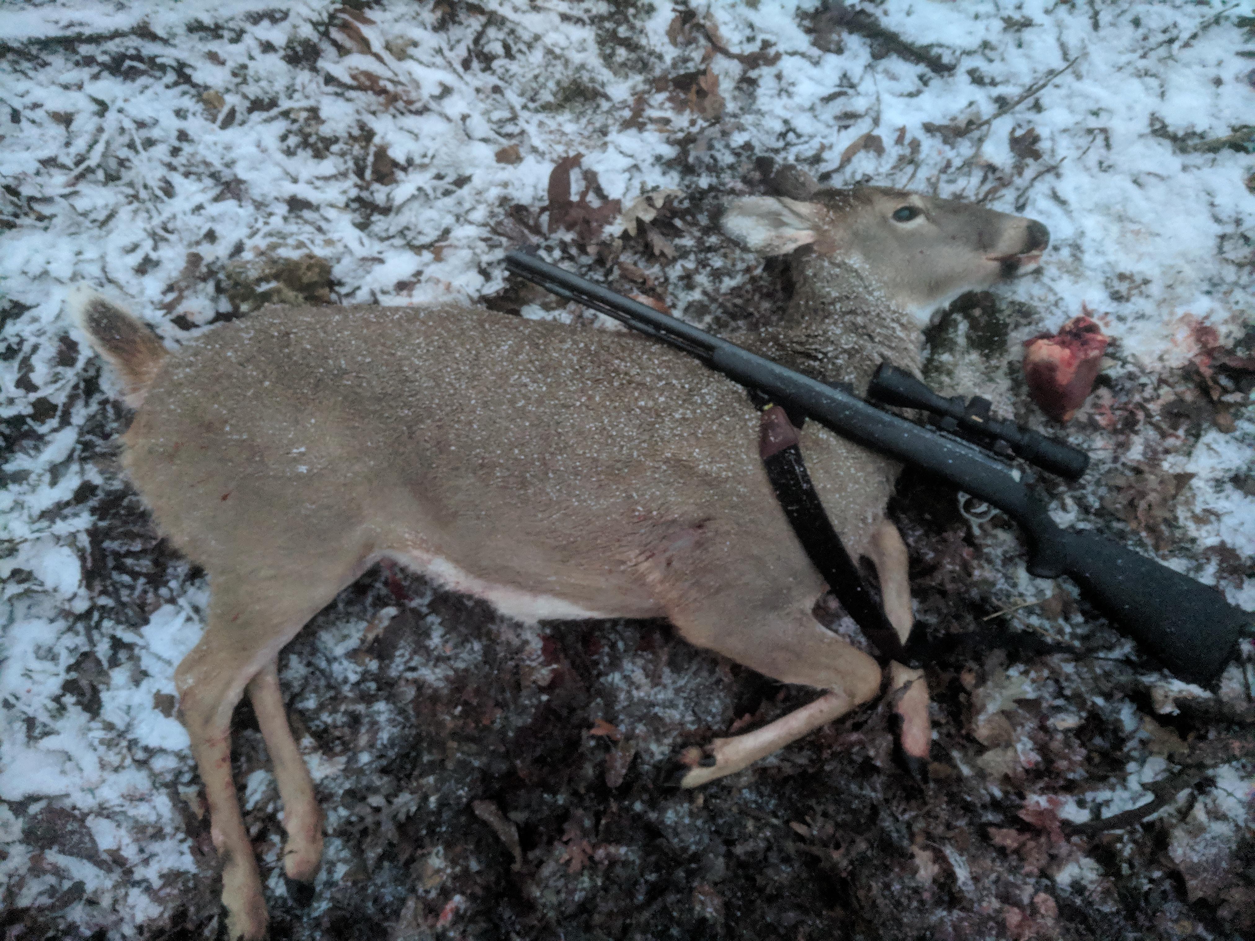 After 5 years of hunting i finally bagged my 2nd deer! Iowa doe taken