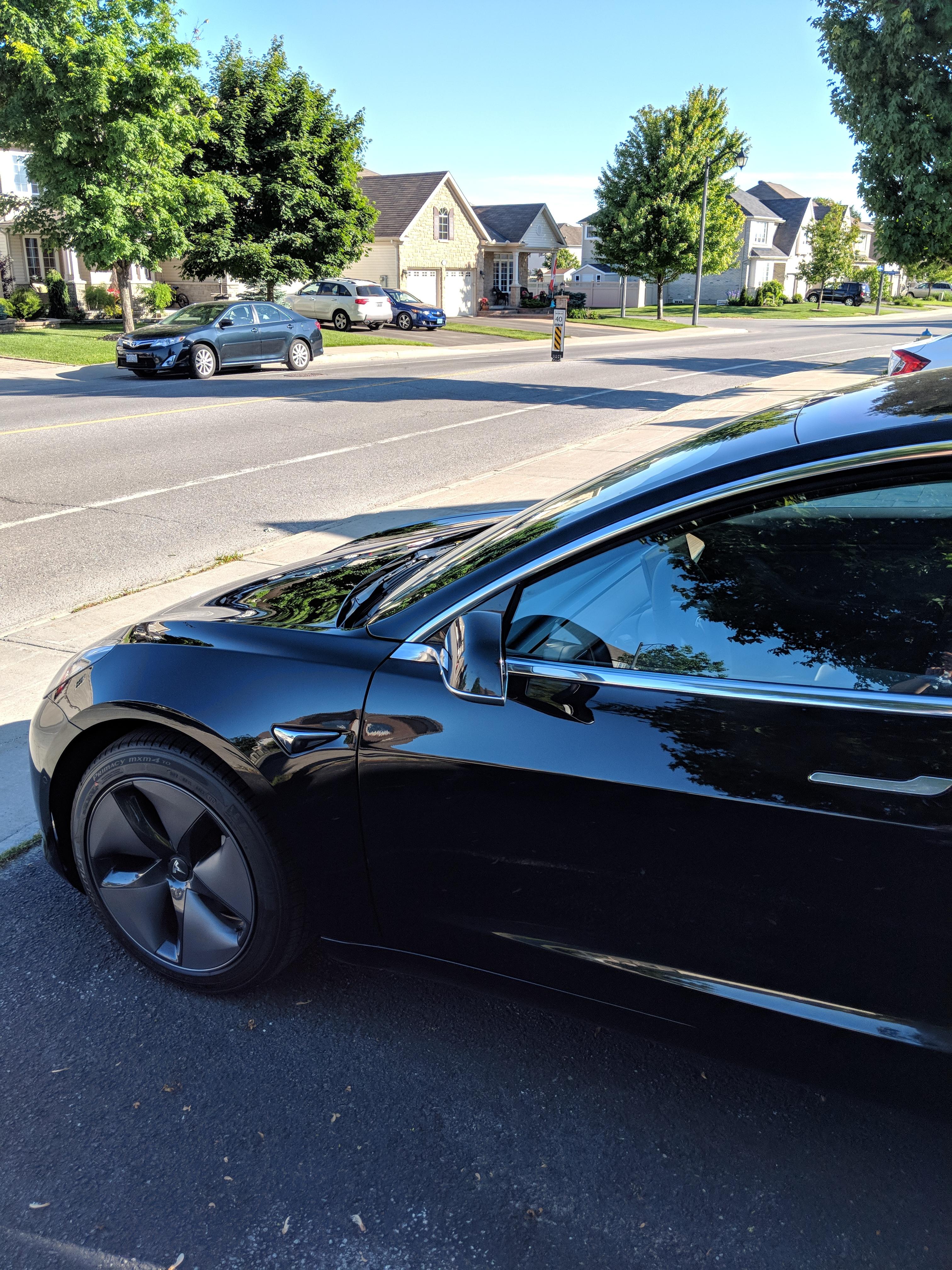 Freshly waxed Tesla Model 3 r/carporn