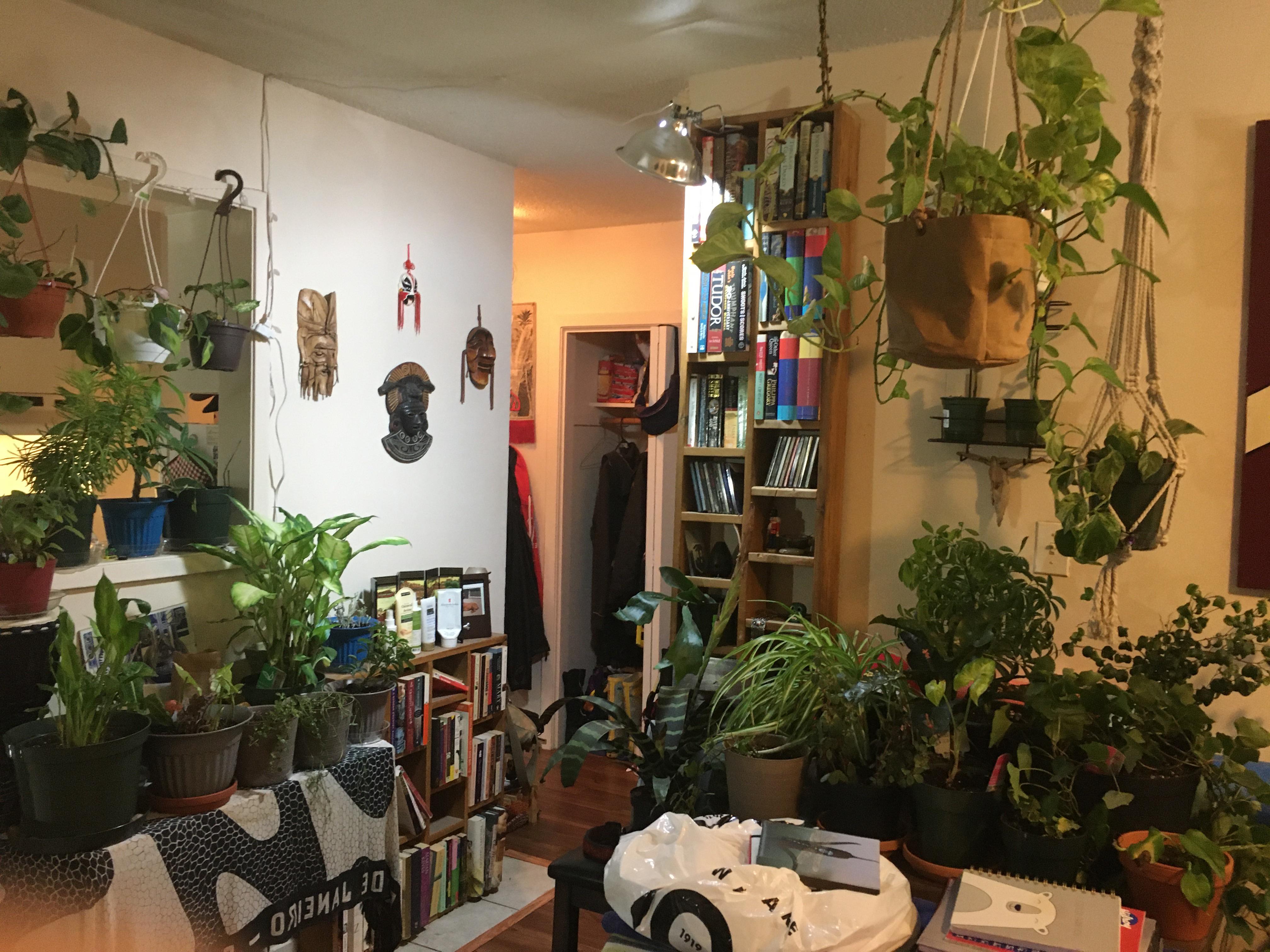 I’ve desperately been trying to find more space to bring my plants