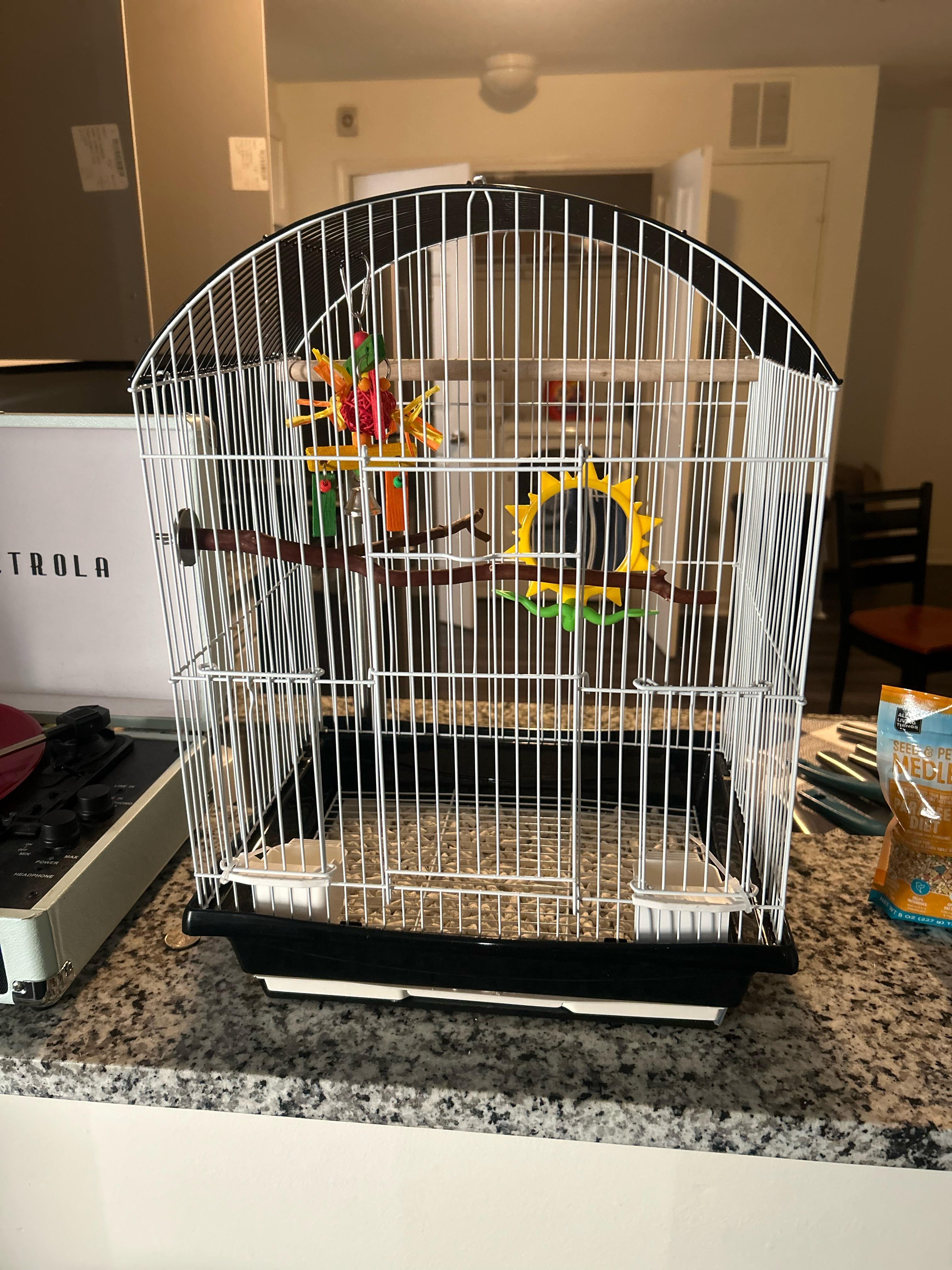 I feel like i should get a bigger cage, wbu? r/Parakeets