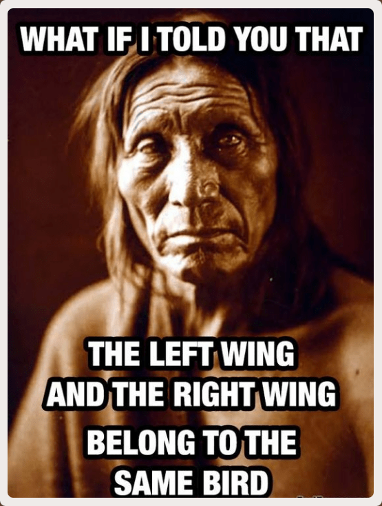 Beautiful Birds Of A Feather Flock Together Meme everyday power blog