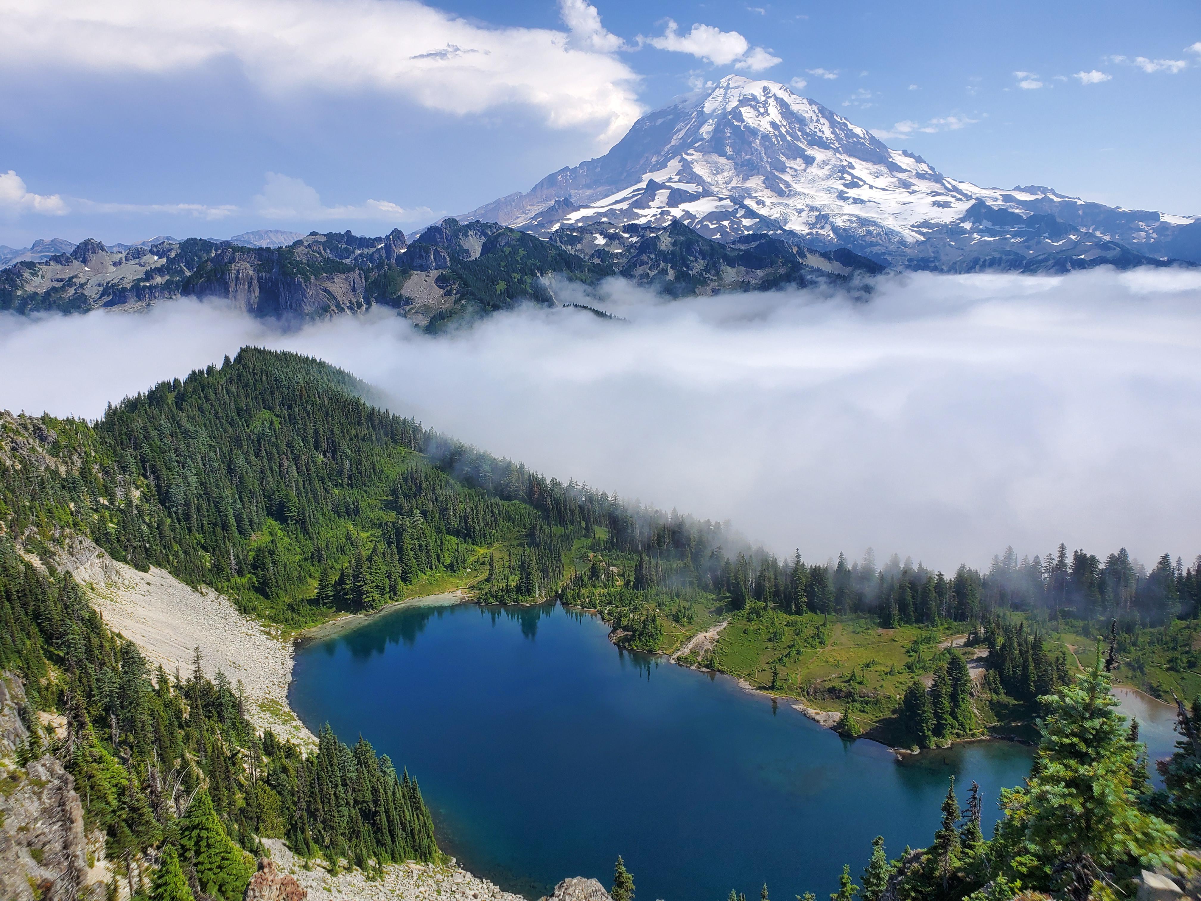 Mount Rainier National Park, Washington! r/hiking