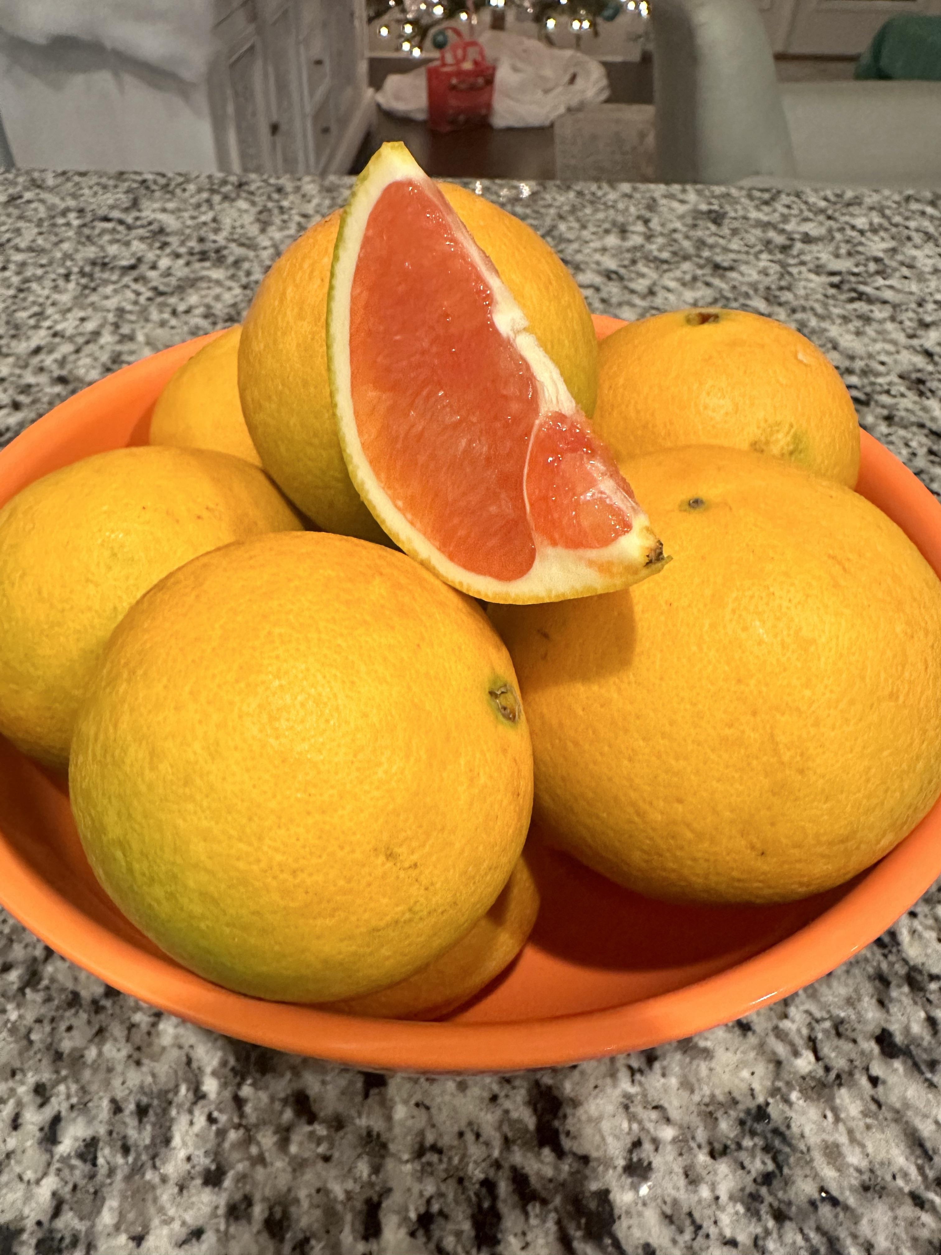 First crop of home grown red navel oranges! r/landscaping
