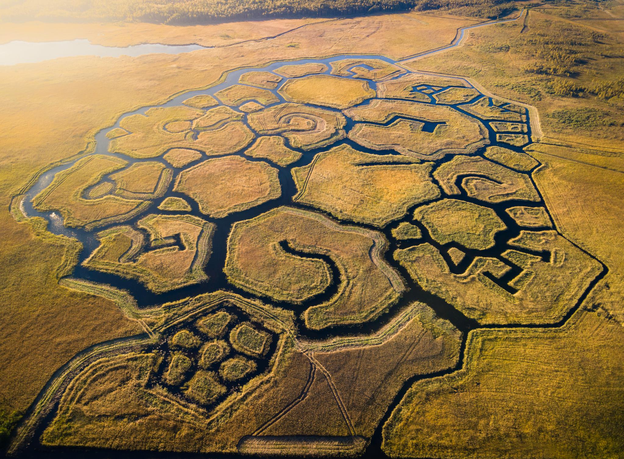 Geometric shapes in a nature preserve. r/DJIMavicAir2