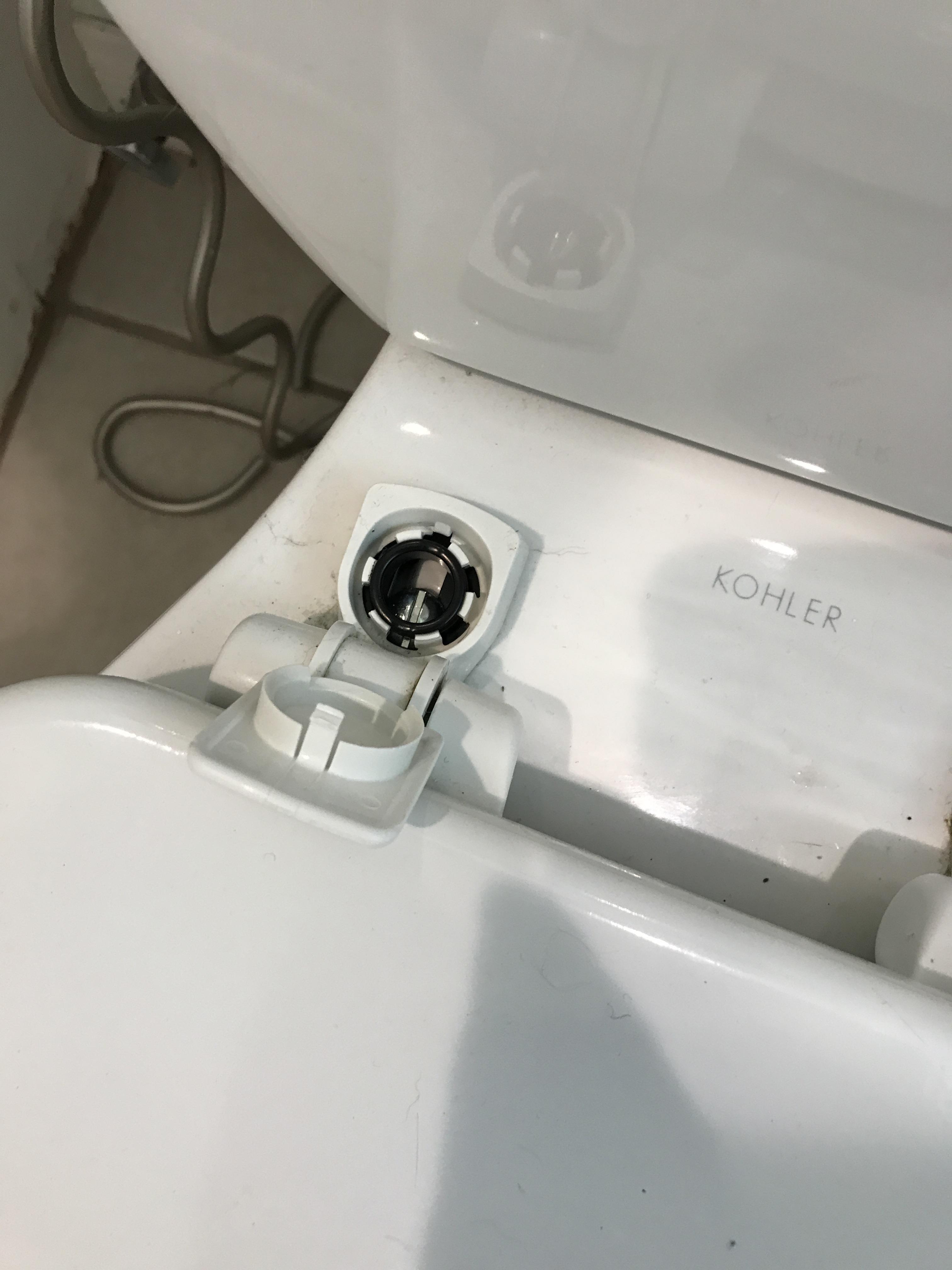 How to remove these bolts from toilet seat cover r/fixit