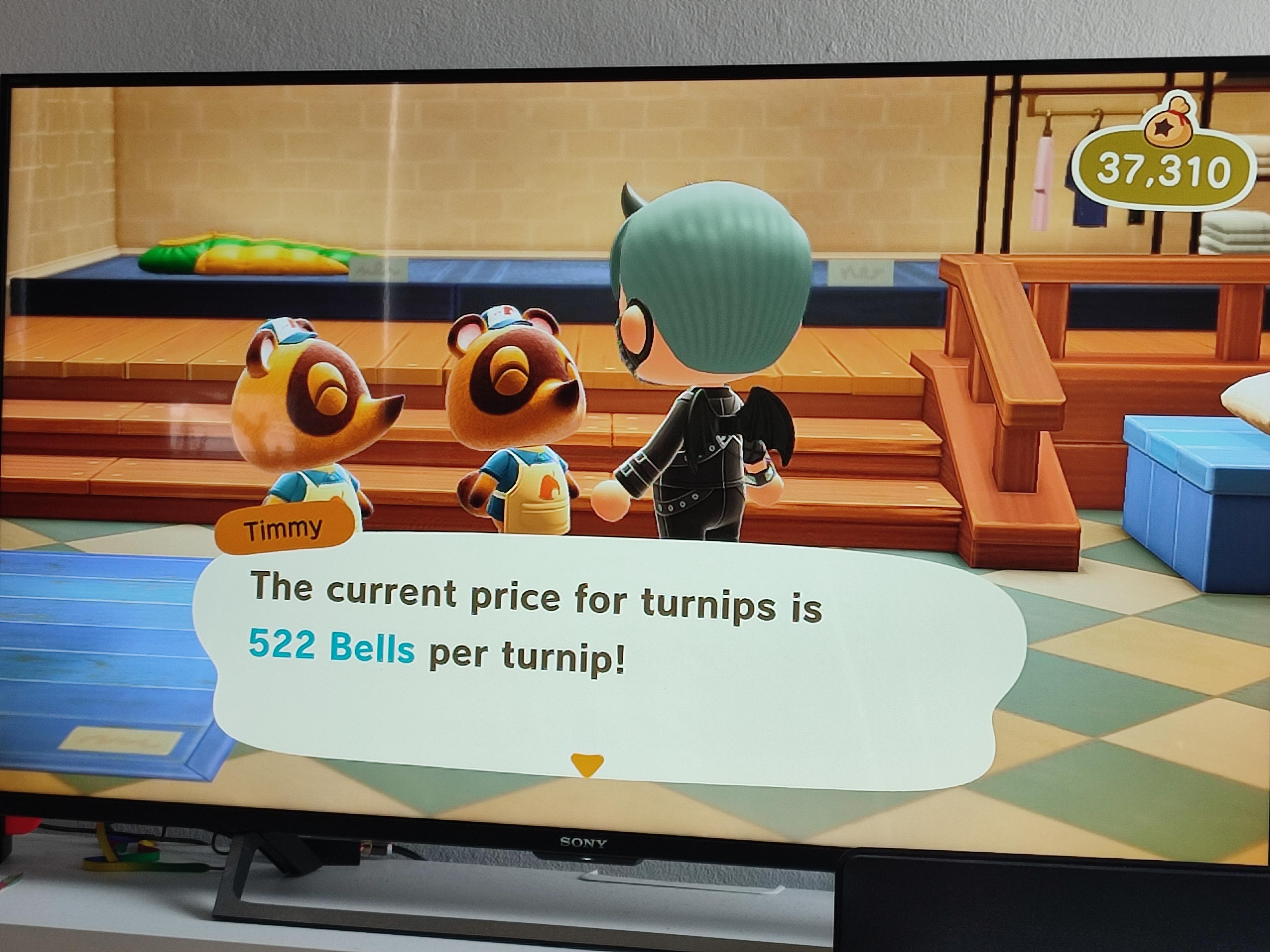 If Somebody wants to sell some turnips, my Dodo Code ist HSV15. My