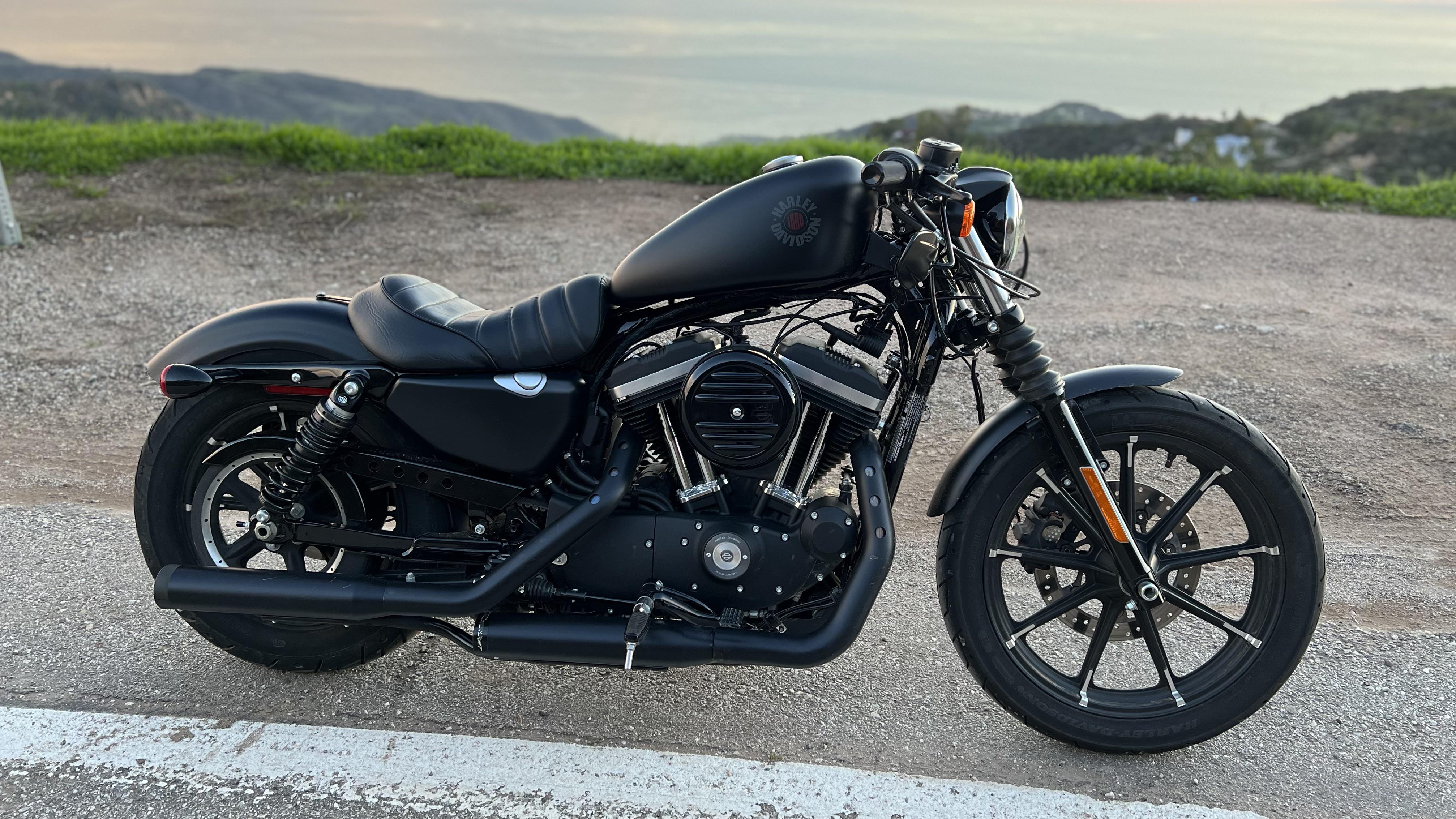 883 Iron Cafe Racer