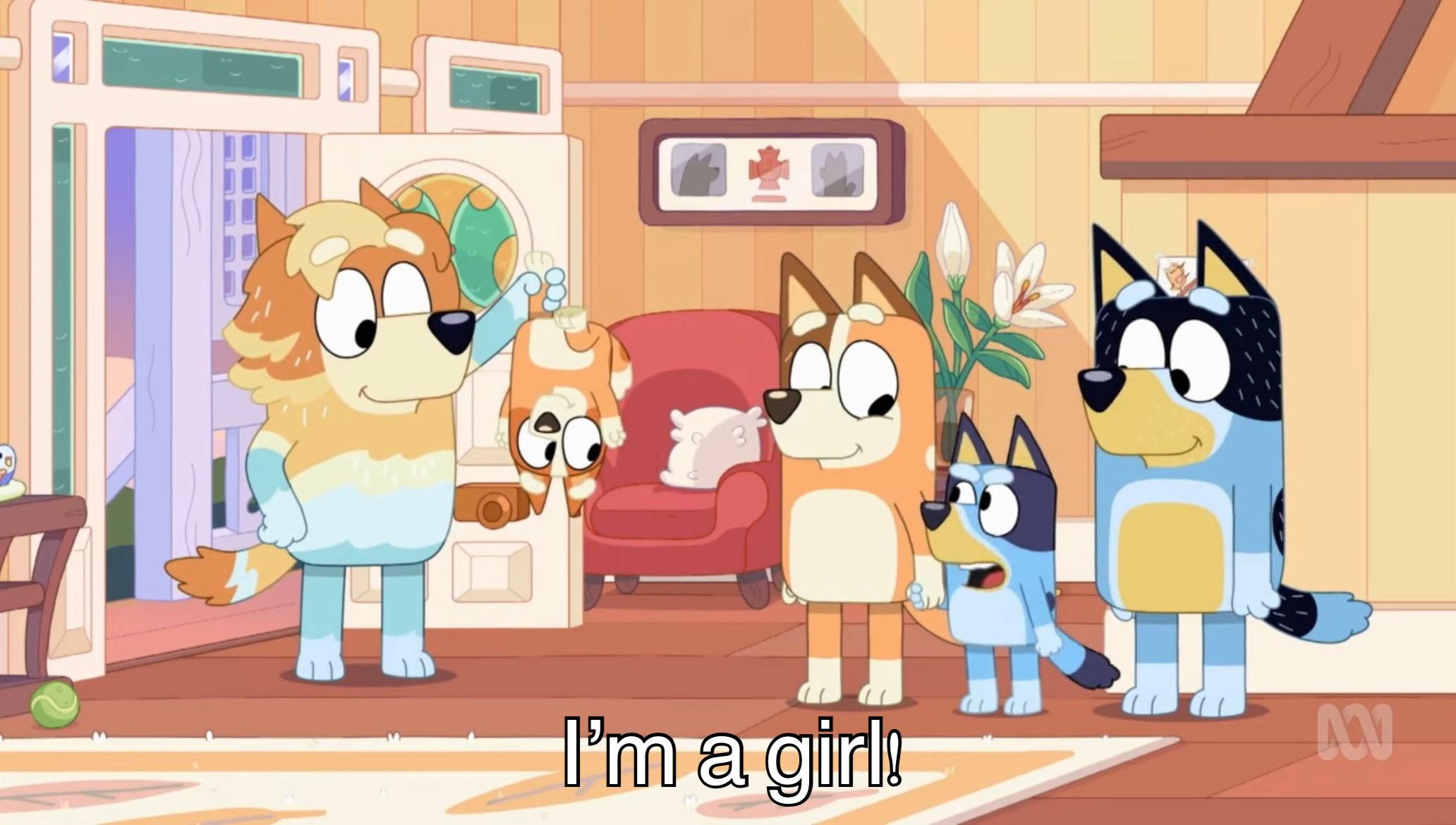 Had a kid insist Bluey that was a boy. Has this happened to any of you