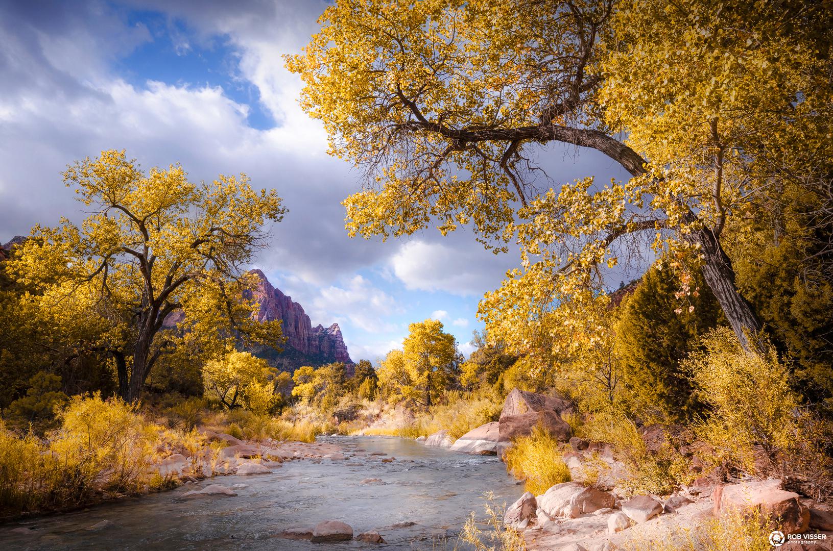 Zion river of gold, another shot of a beautiful morning at Zion