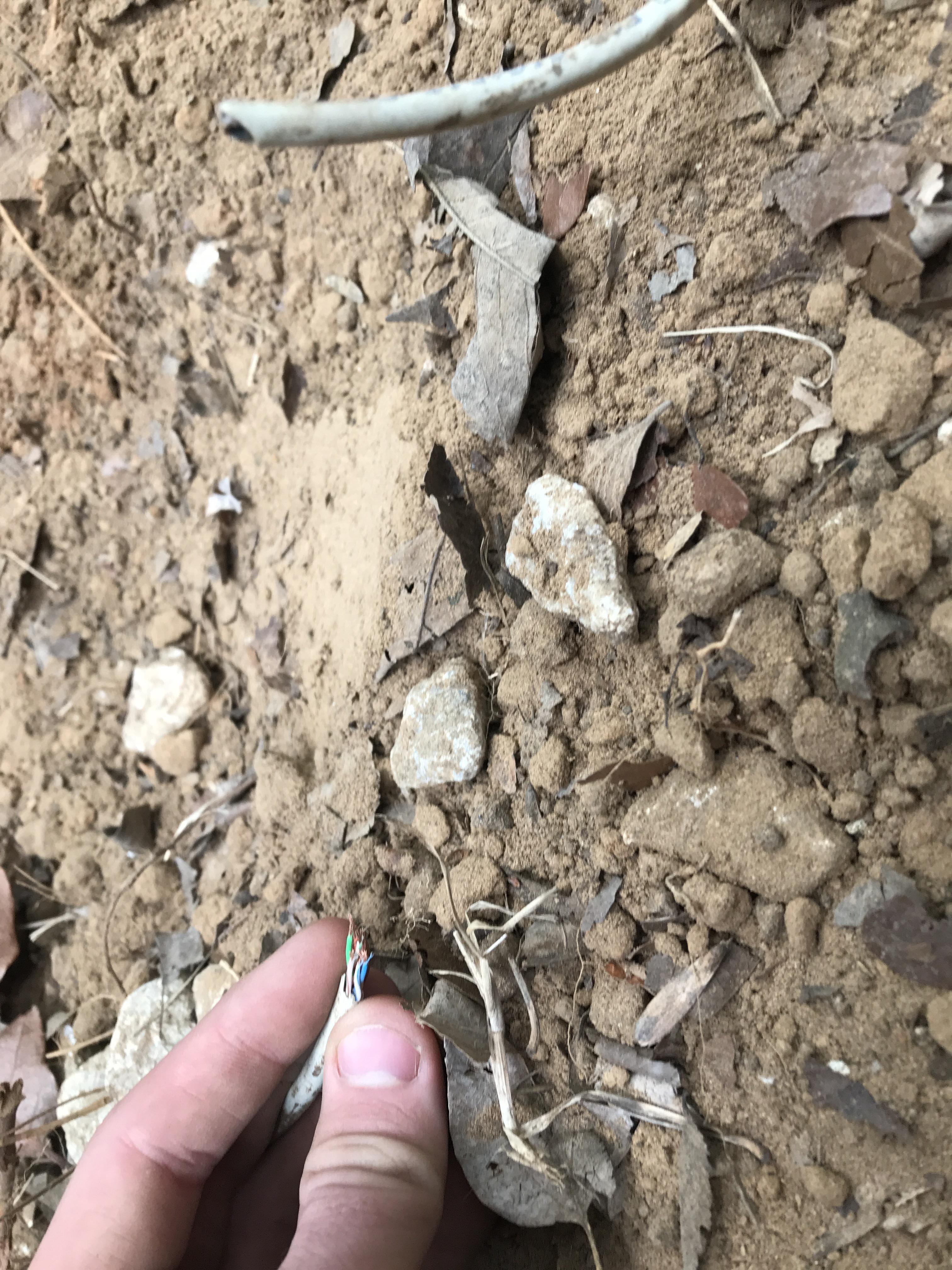 Accidentally cut this wire while working in the yard. : r/whatisthisthing