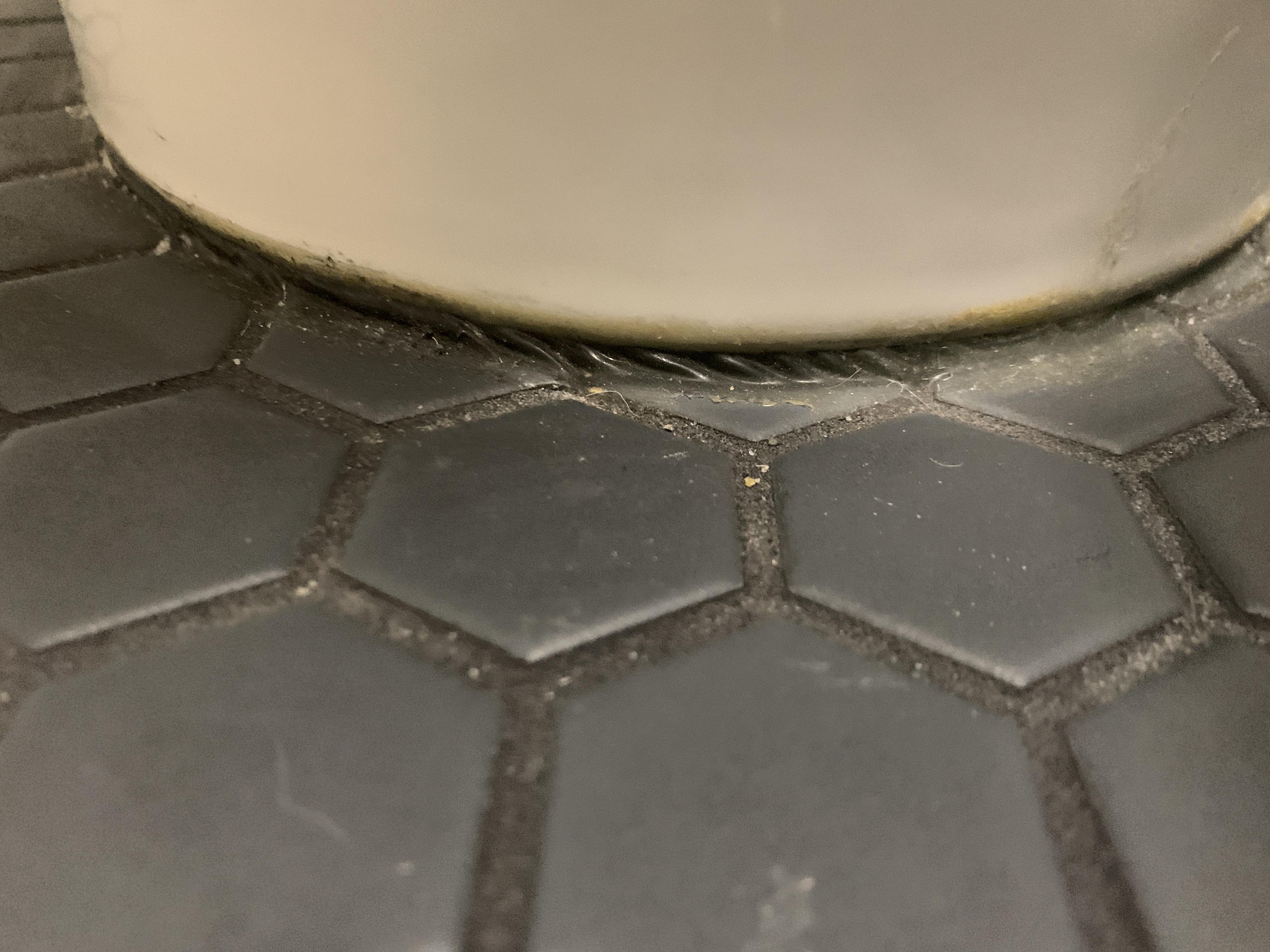 First floor bathroom smells like sewage. I literally got on knees and