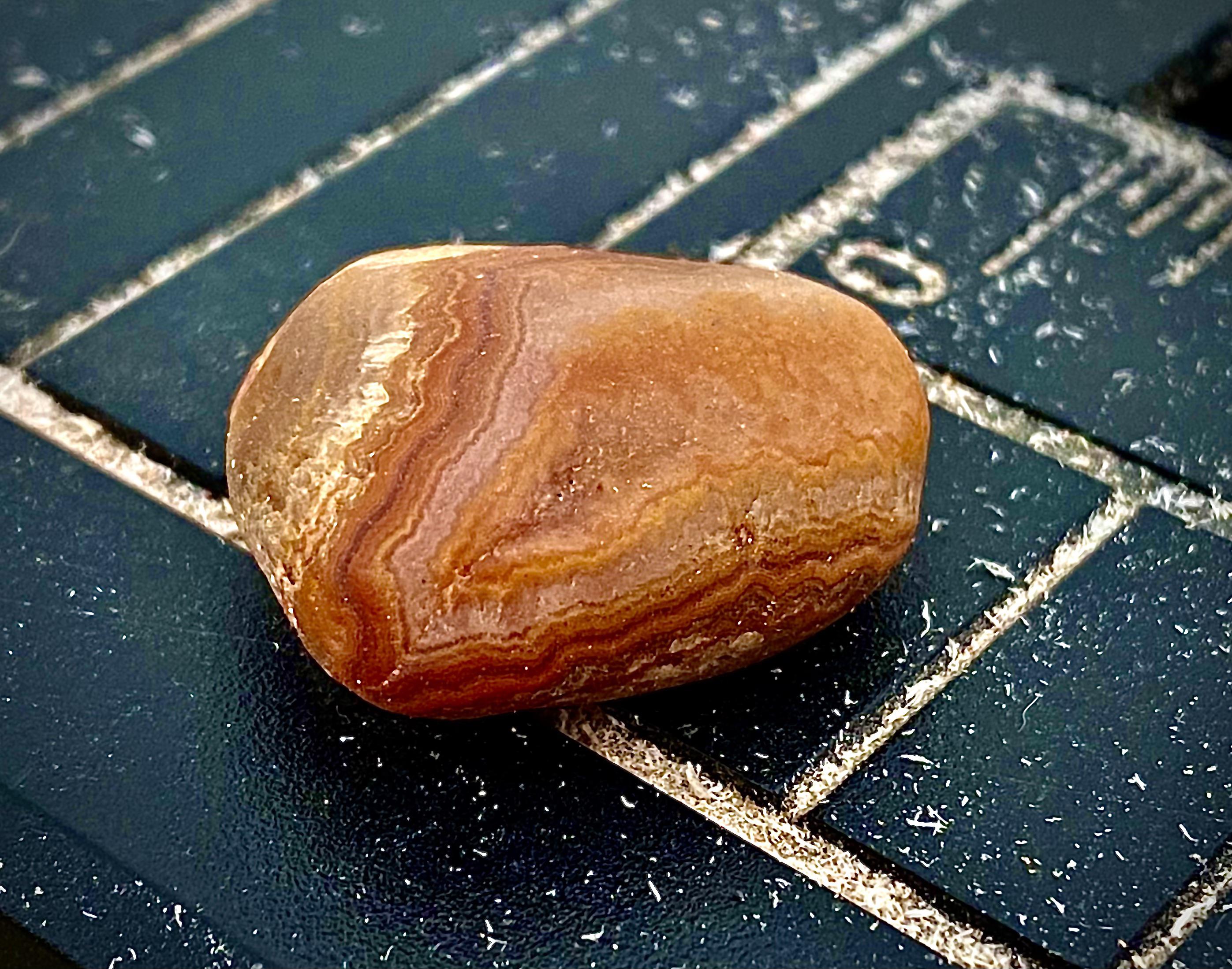 South Mississippi agate I found in a pile of driveway gravel. r/rockhounds