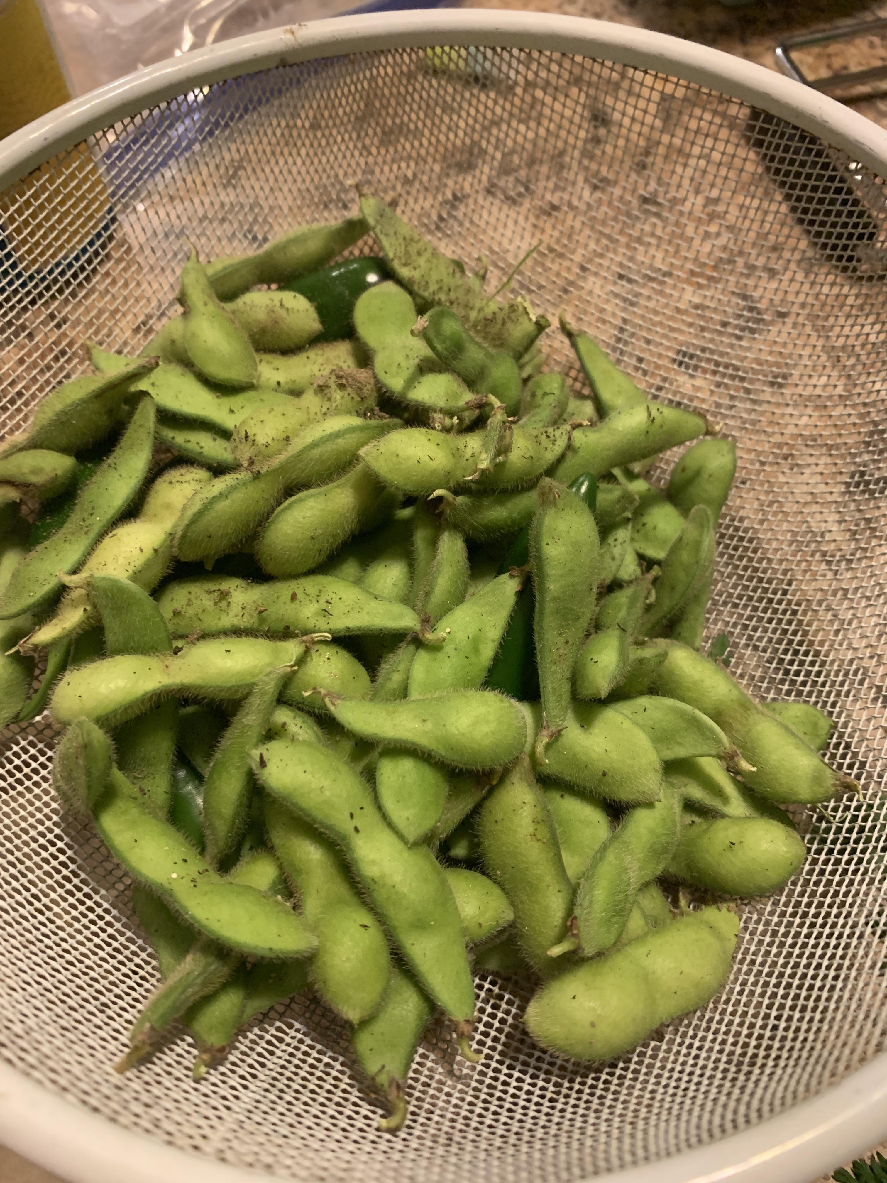 I grew edamame for the first time. I was expecting it to be difficult